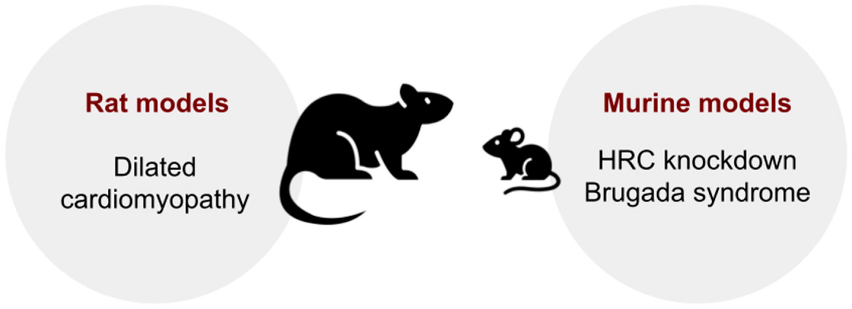 Biomedicines 13 01518 g004