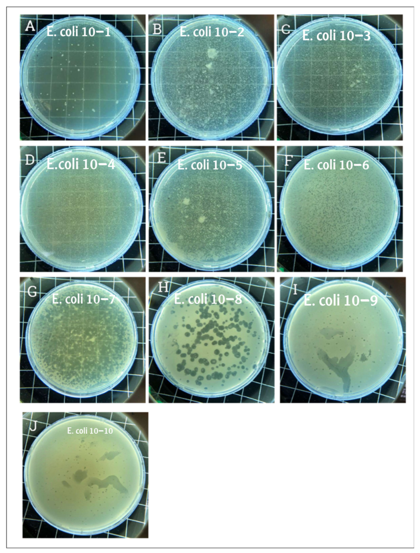 Biomedicines 13 01519 g001