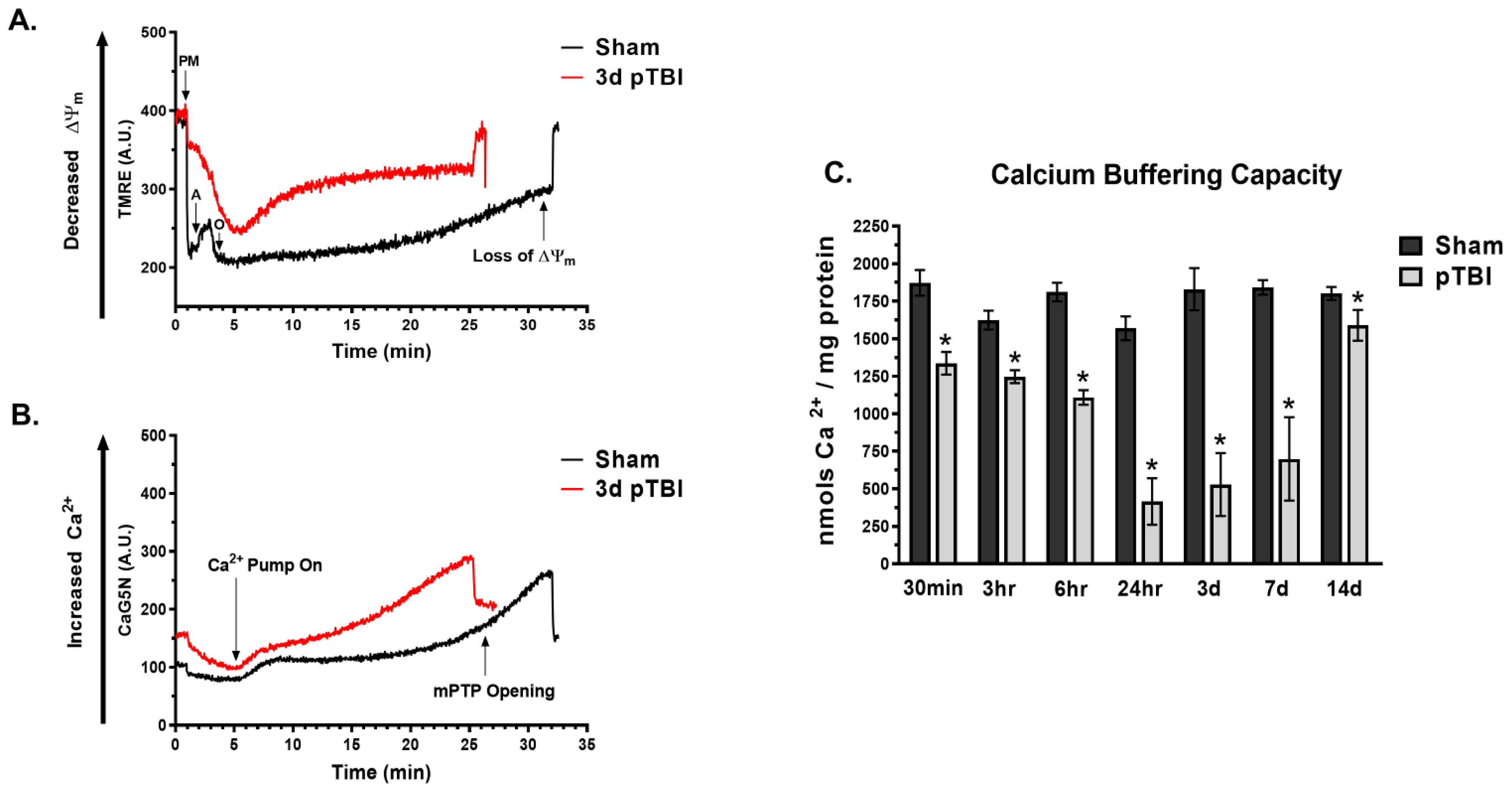 Biomedicines 13 01520 g001