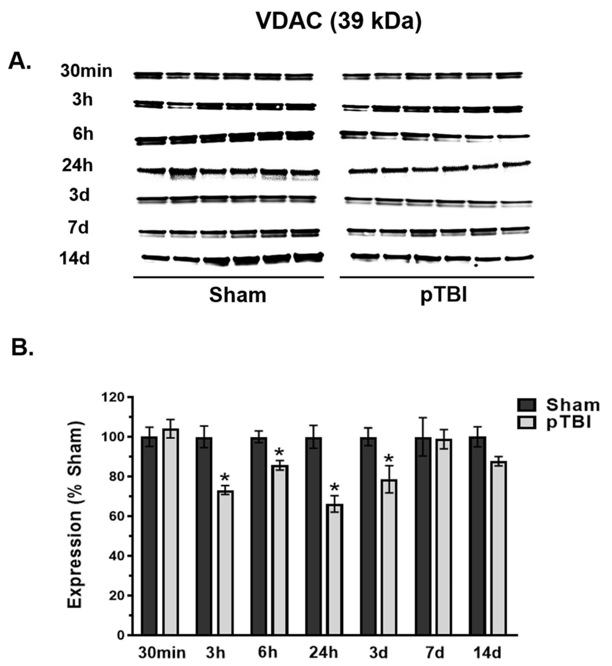 Biomedicines 13 01520 g003