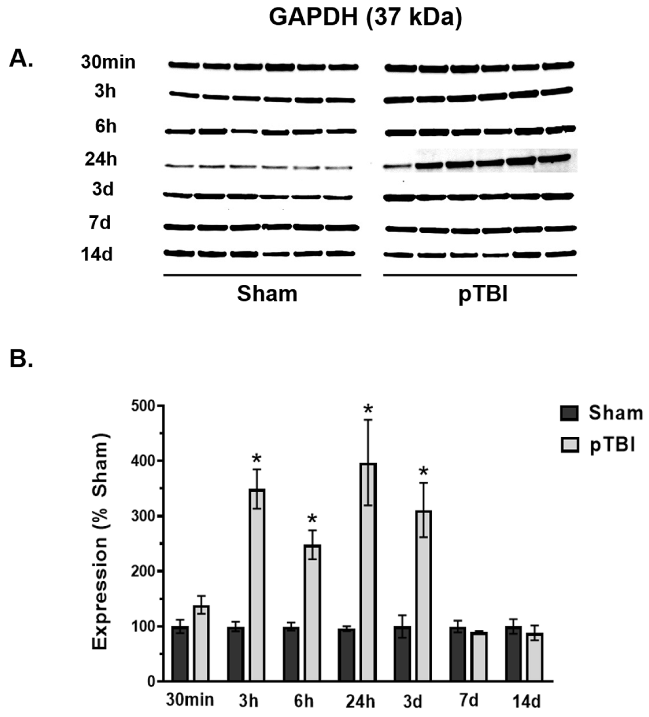 Biomedicines 13 01520 g004