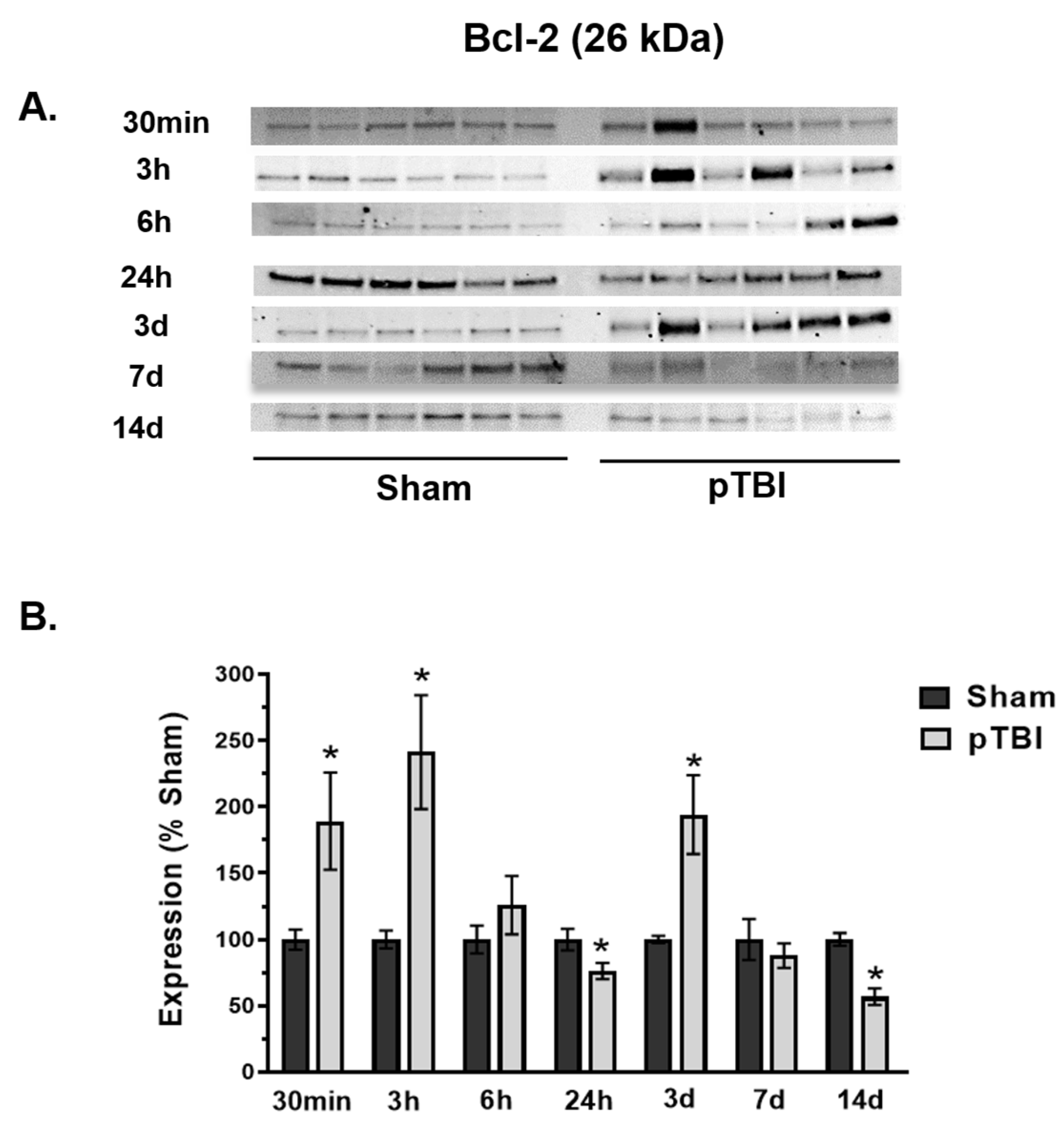 Biomedicines 13 01520 g005