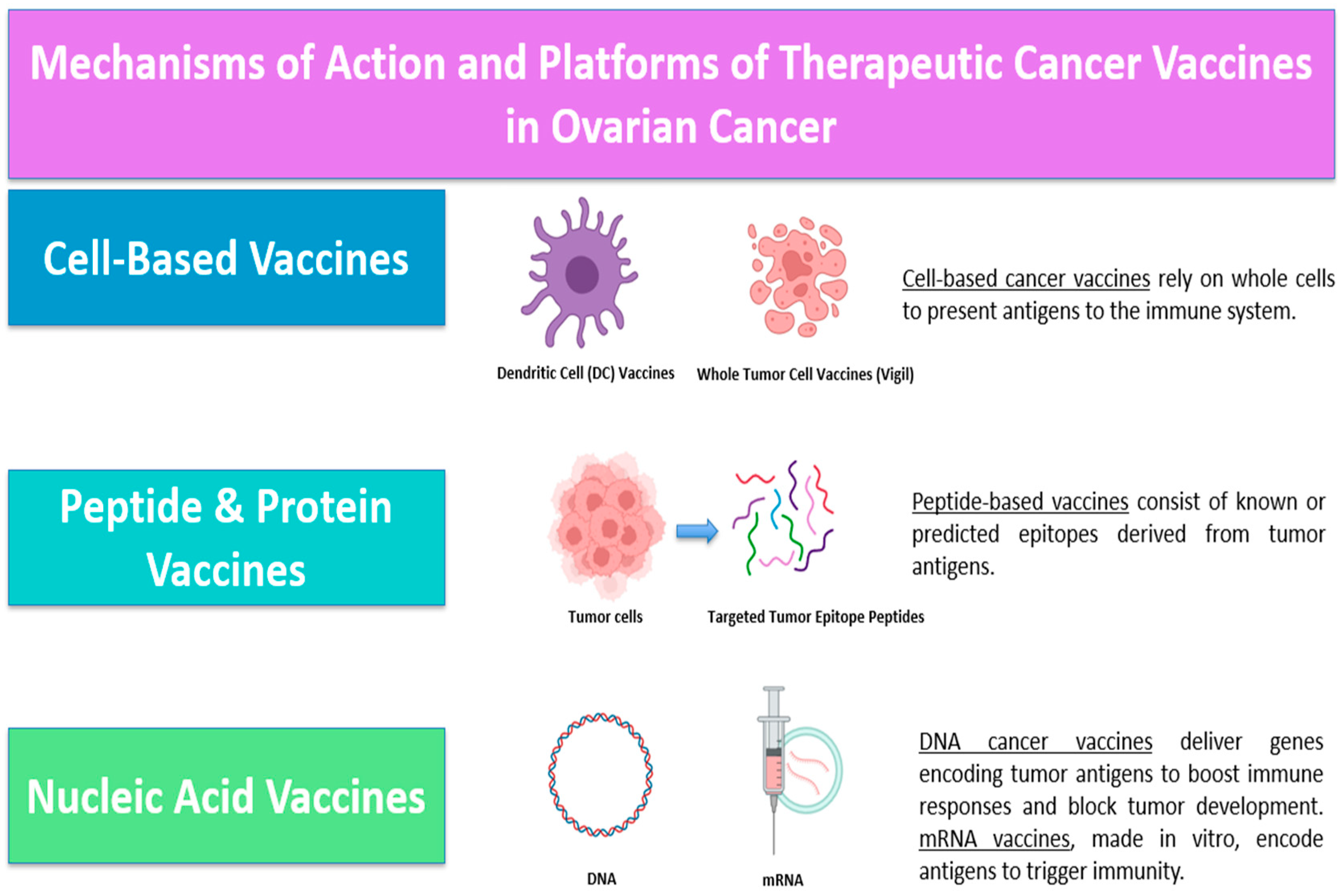 Biomedicines 13 01525 g001