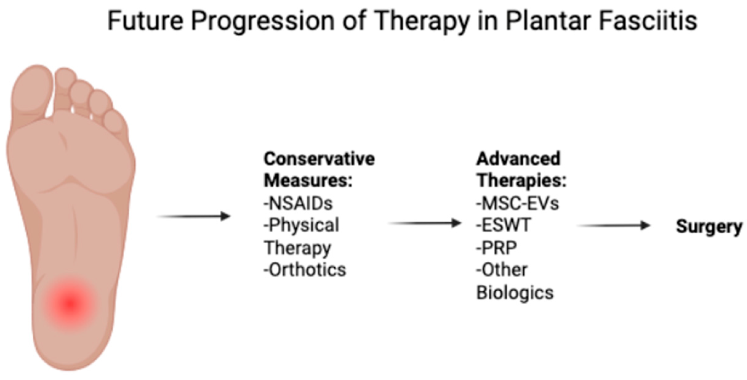 Biomedicines 13 01528 g001