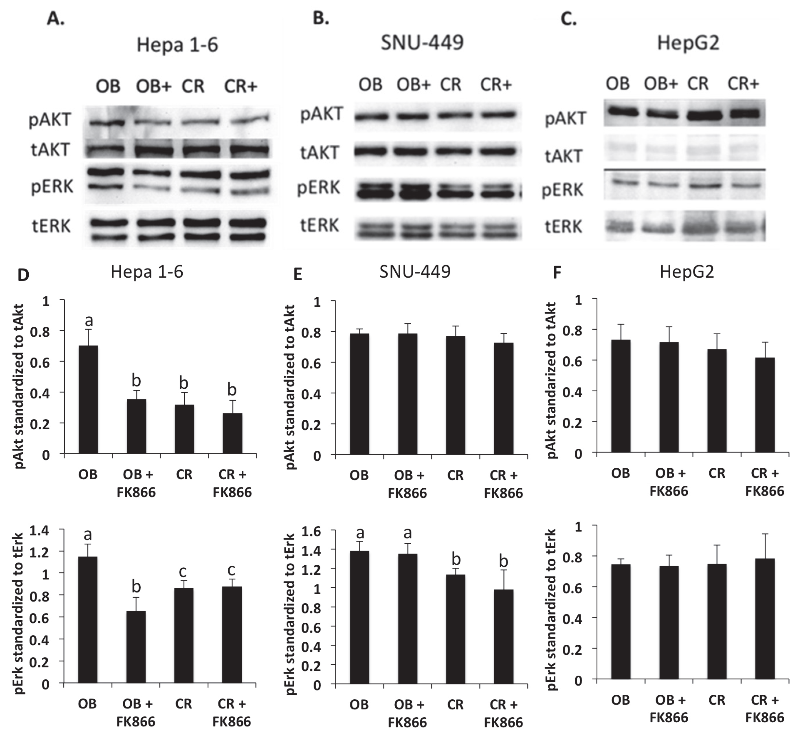 Biomedicines 13 01533 g005