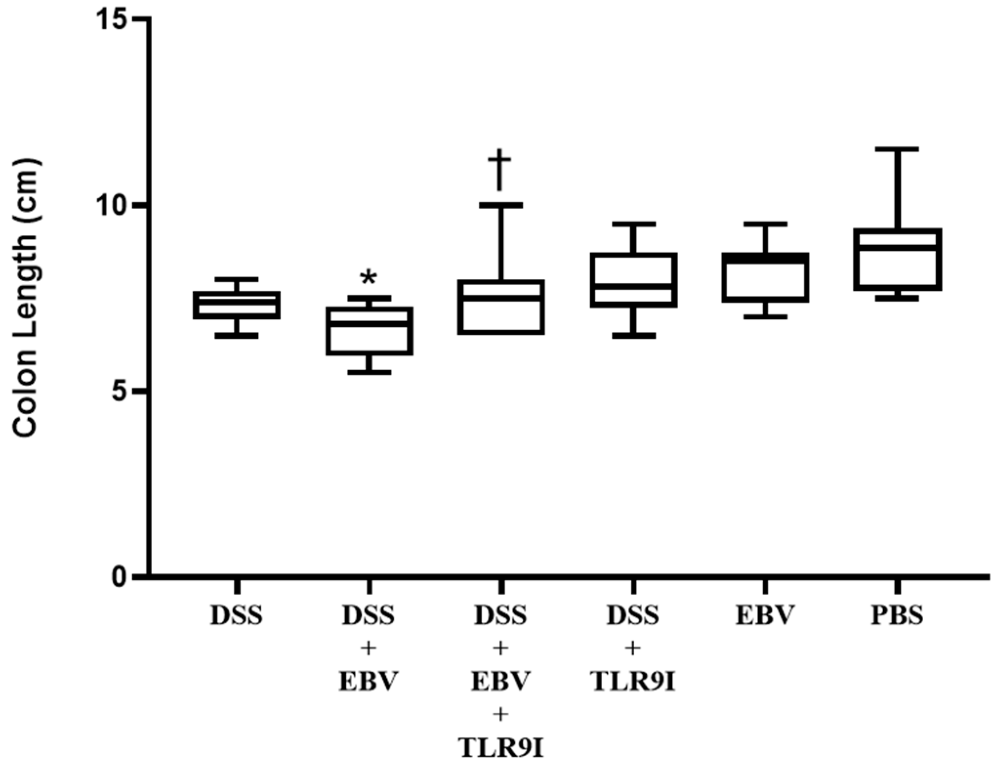 Biomedicines 13 01535 g003