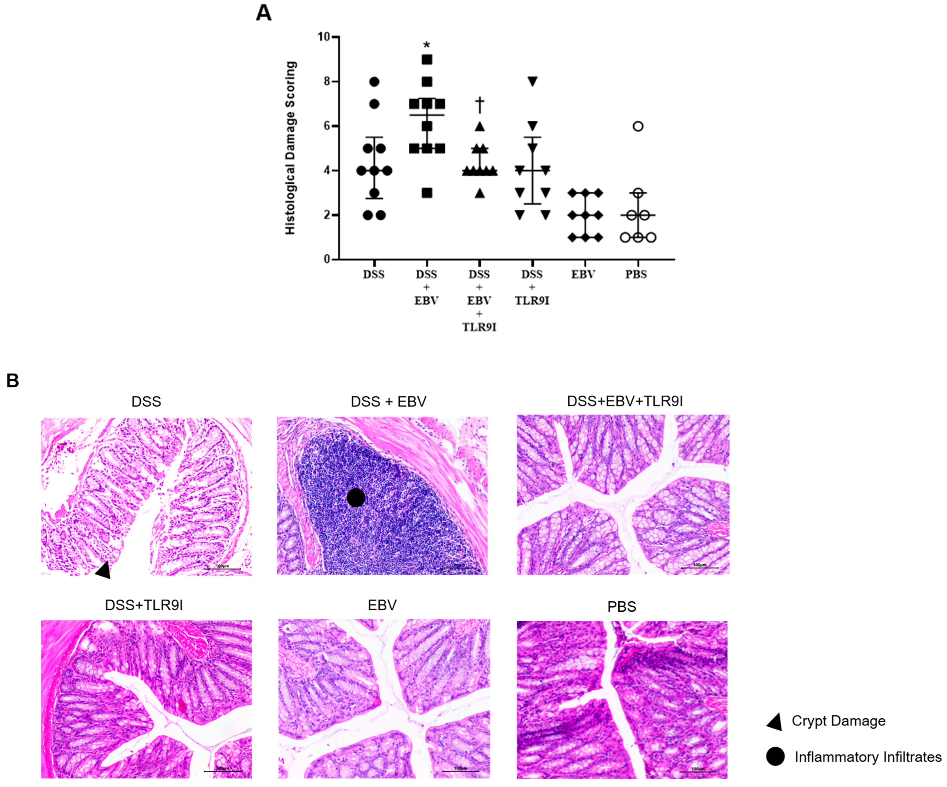 Biomedicines 13 01535 g004