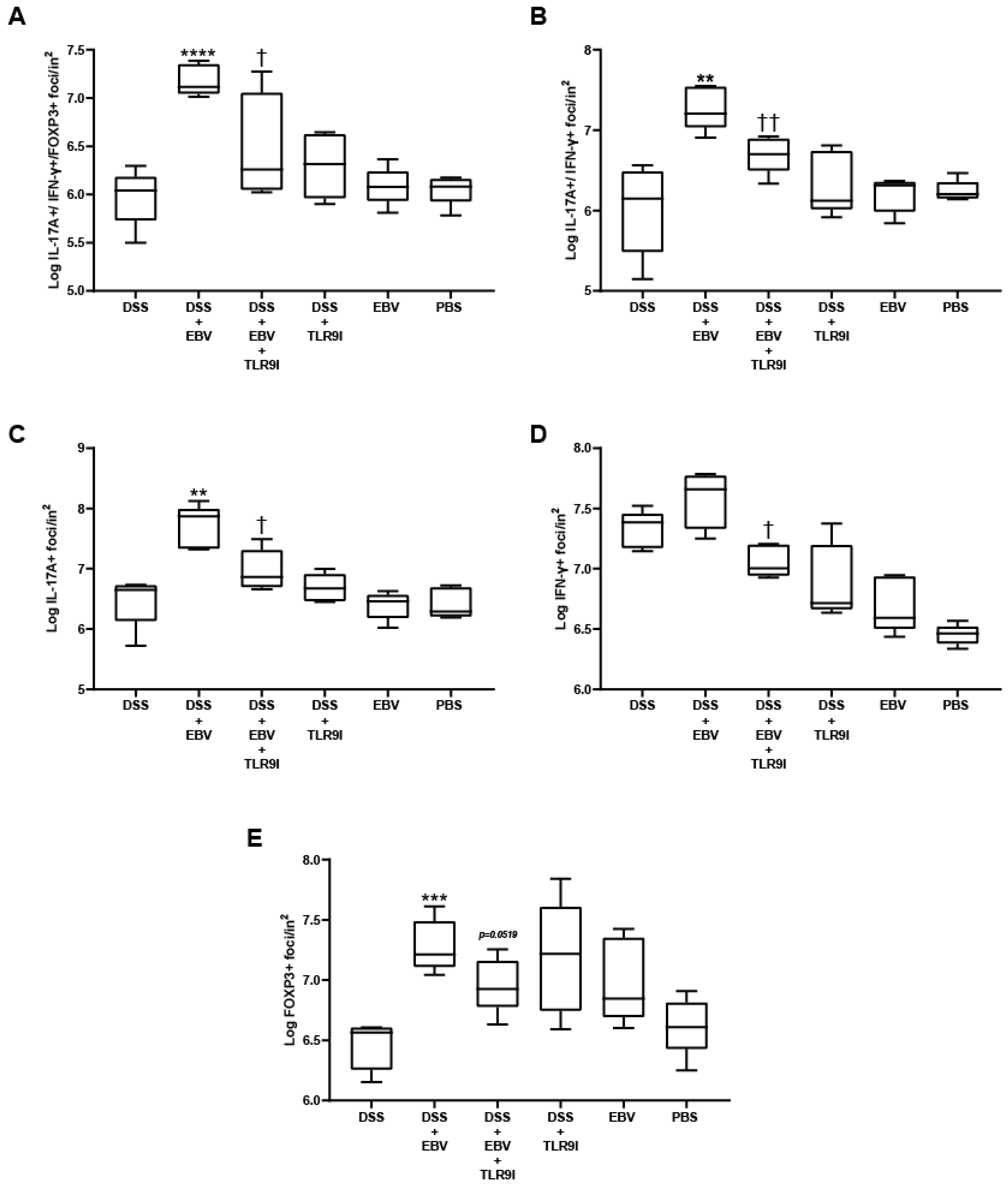 Biomedicines 13 01535 g005