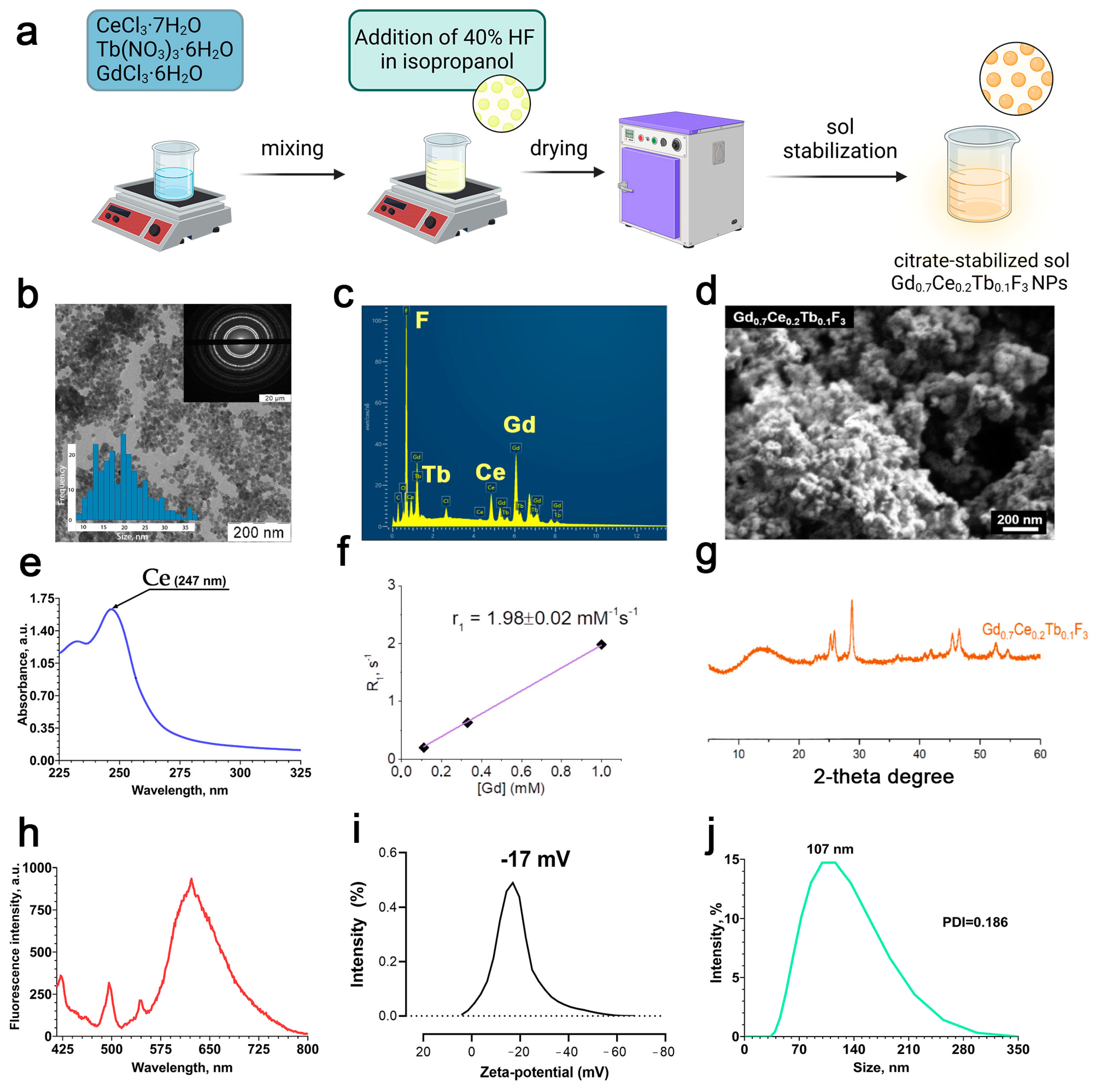 Biomedicines 13 01537 g001