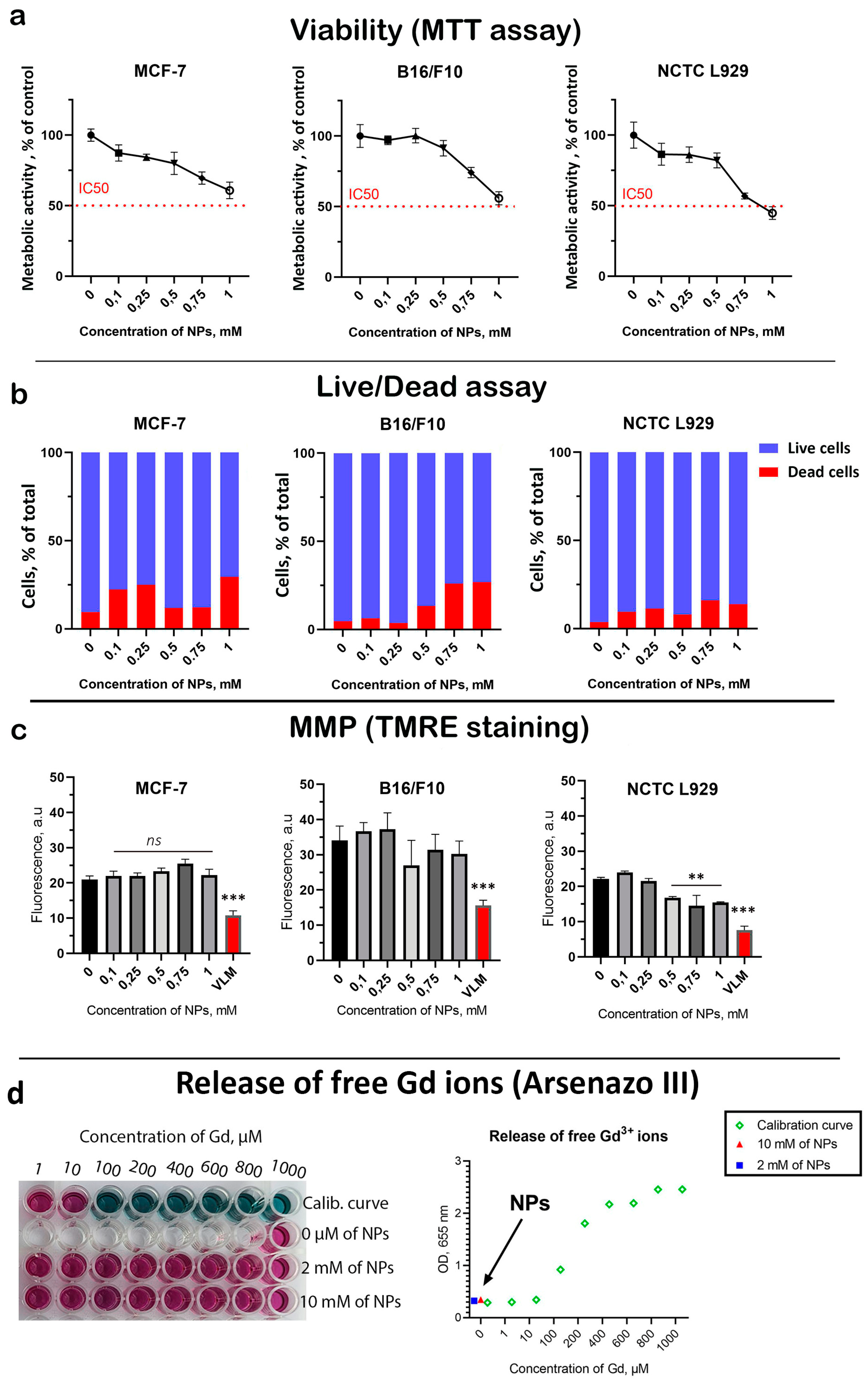 Biomedicines 13 01537 g002