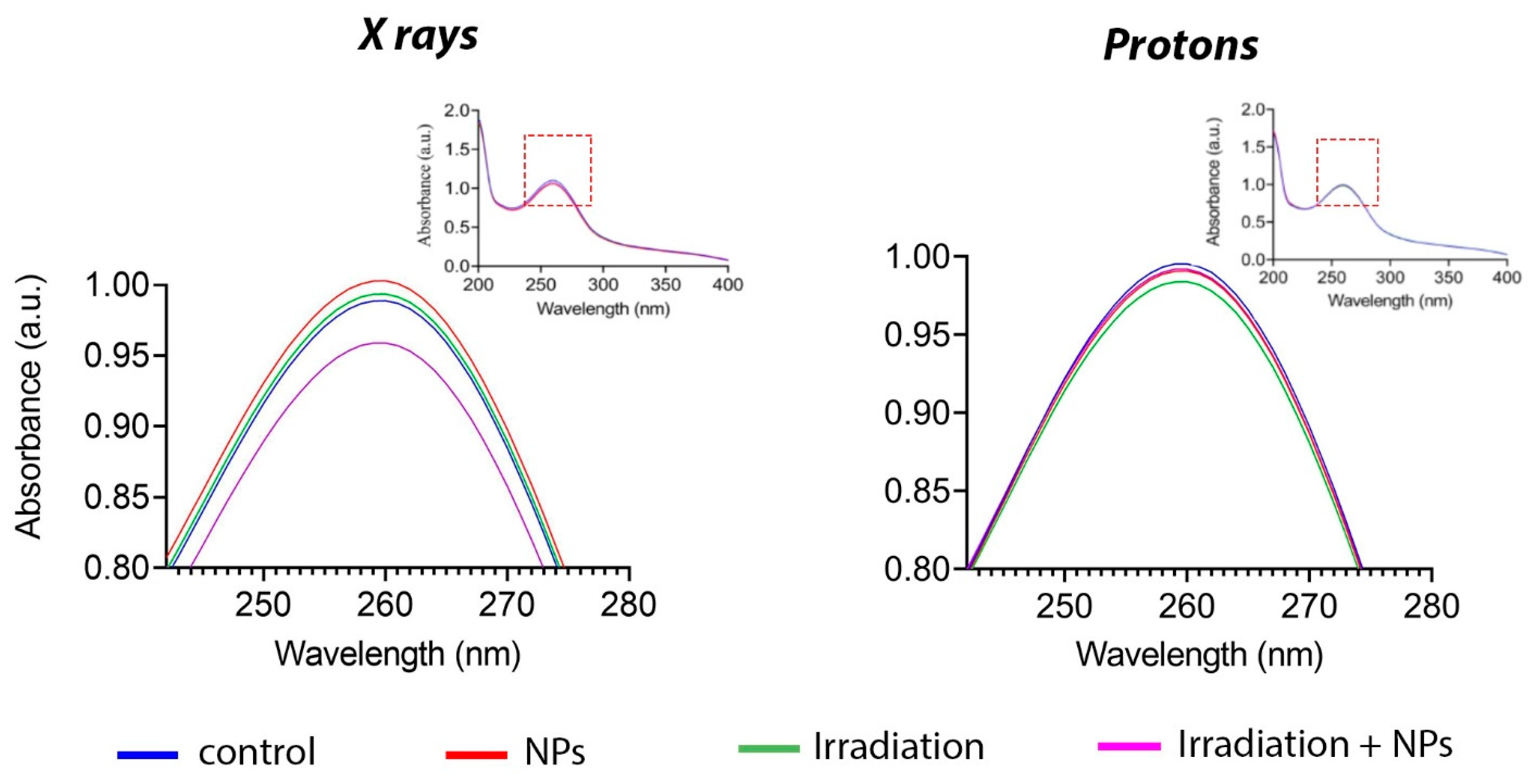 Biomedicines 13 01537 g004