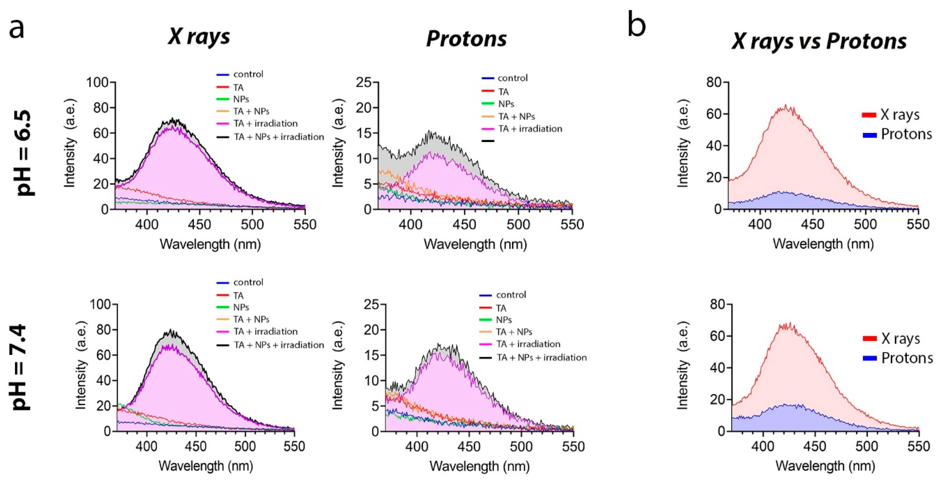 Biomedicines 13 01537 g005