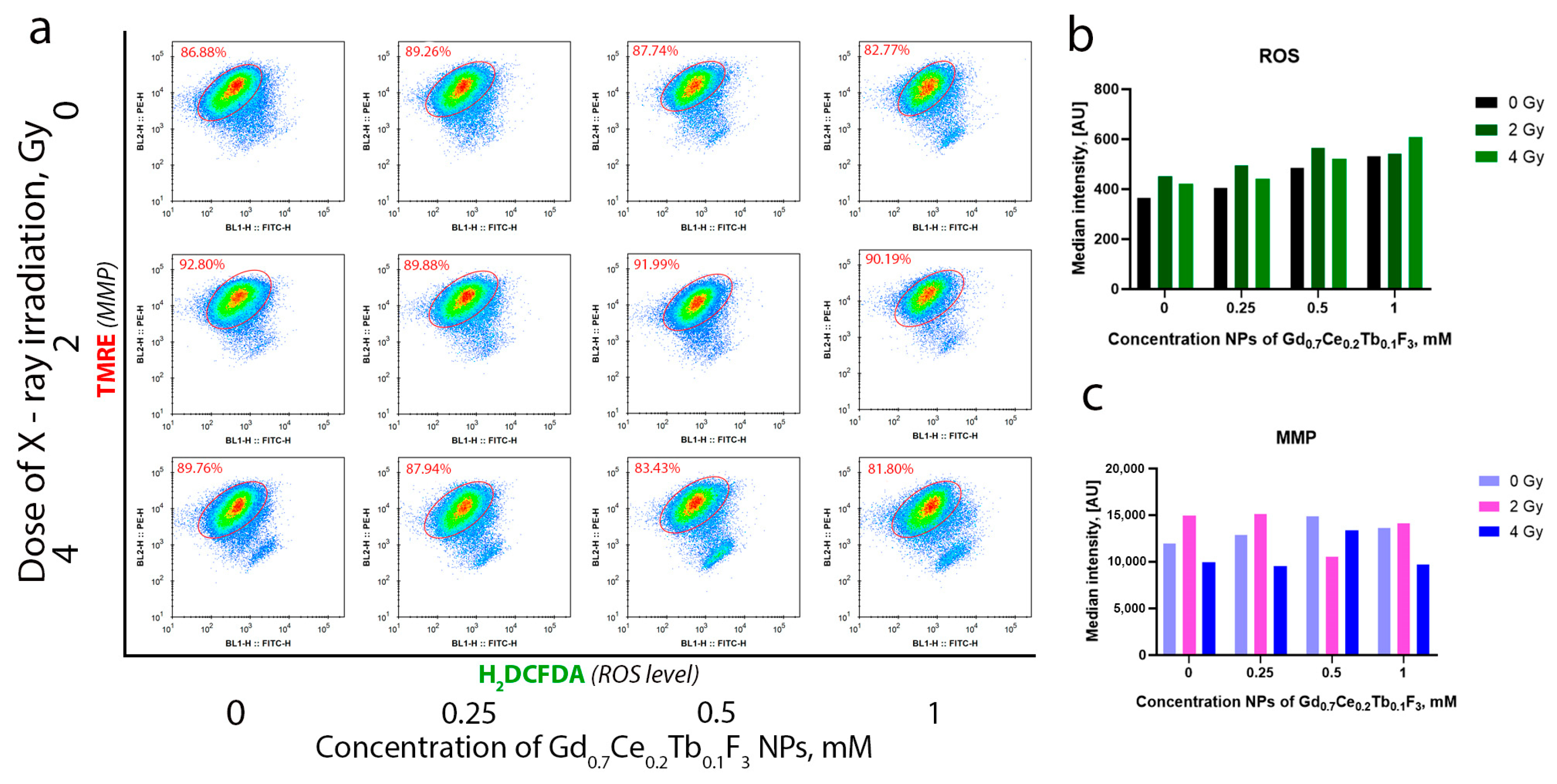 Biomedicines 13 01537 g006