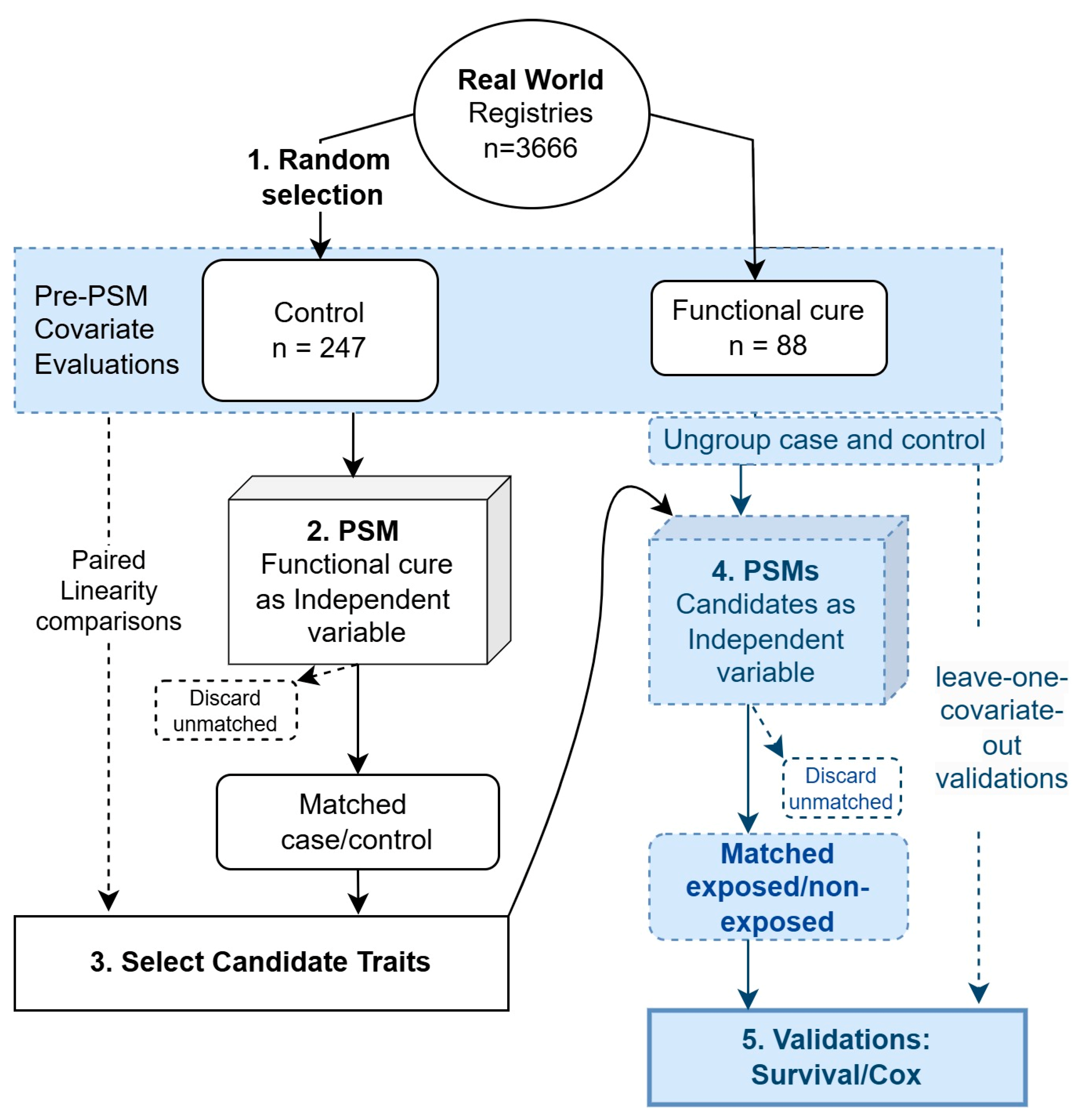 Biomedicines 13 01538 g001