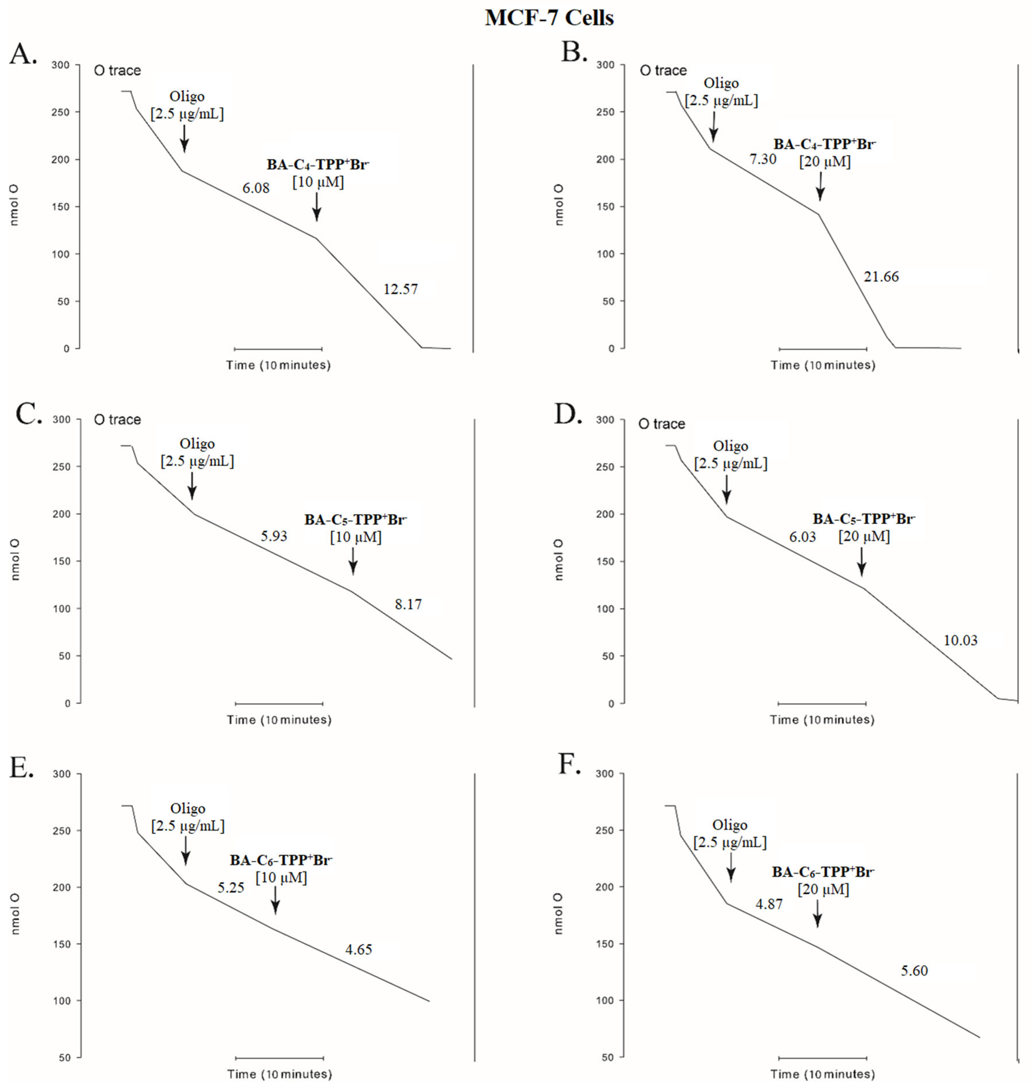Biomedicines 13 01539 g001