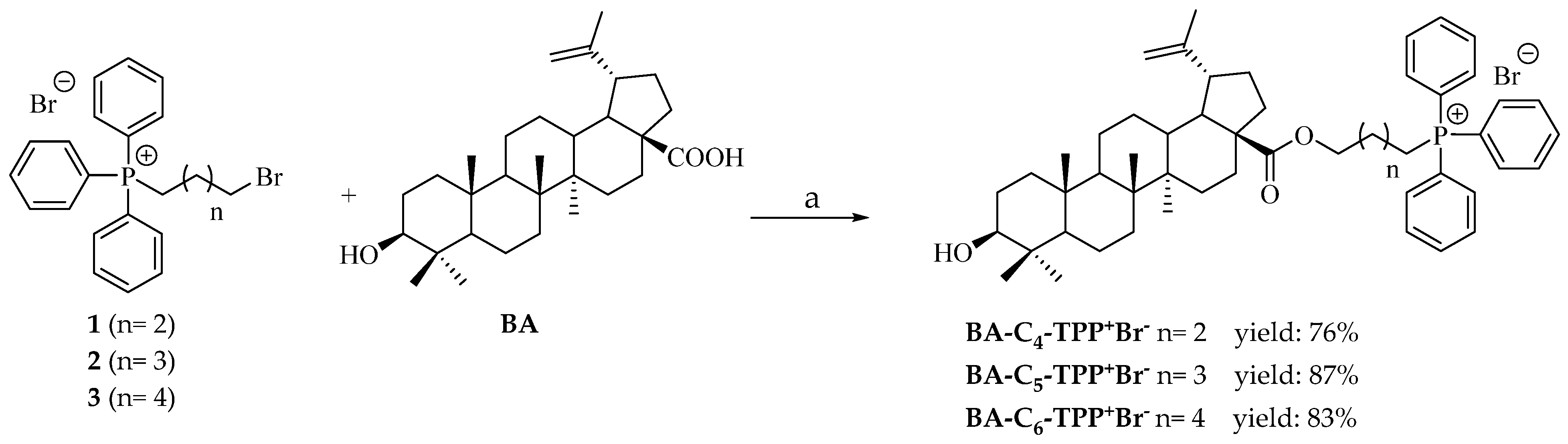 Biomedicines 13 01539 sch002