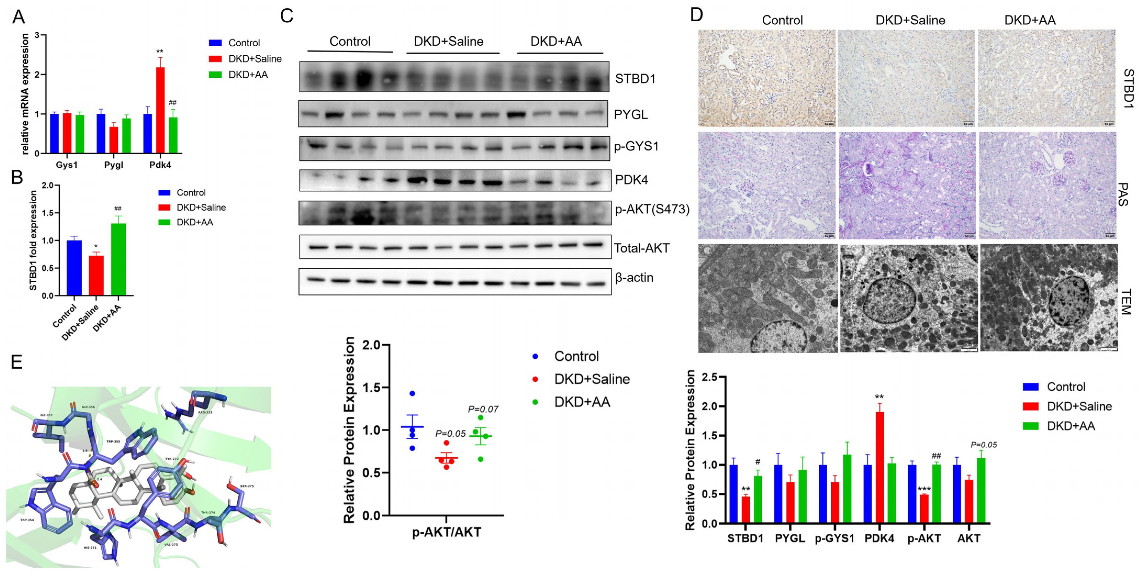 Biomedicines 13 01544 g002
