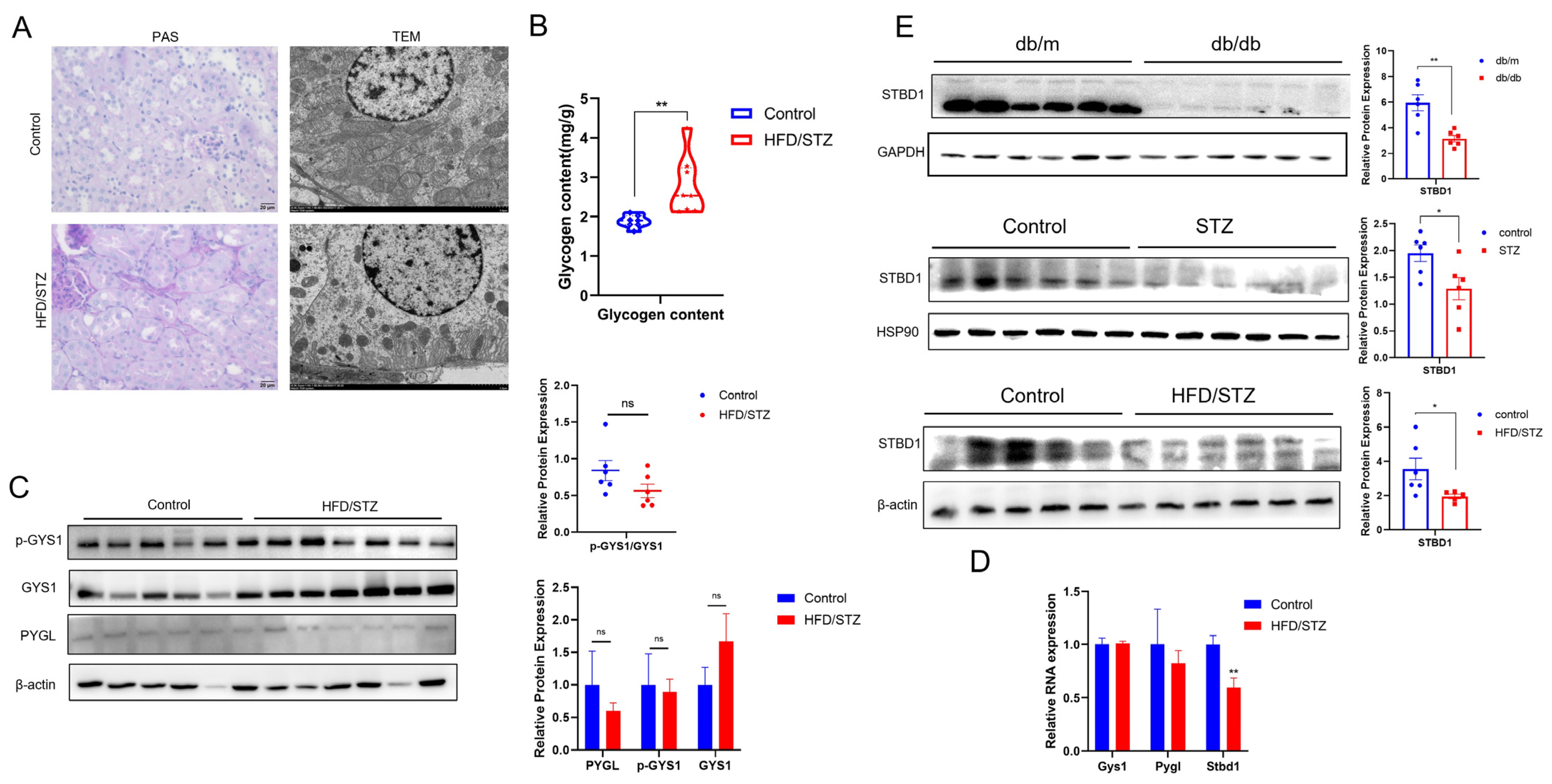 Biomedicines 13 01544 g004