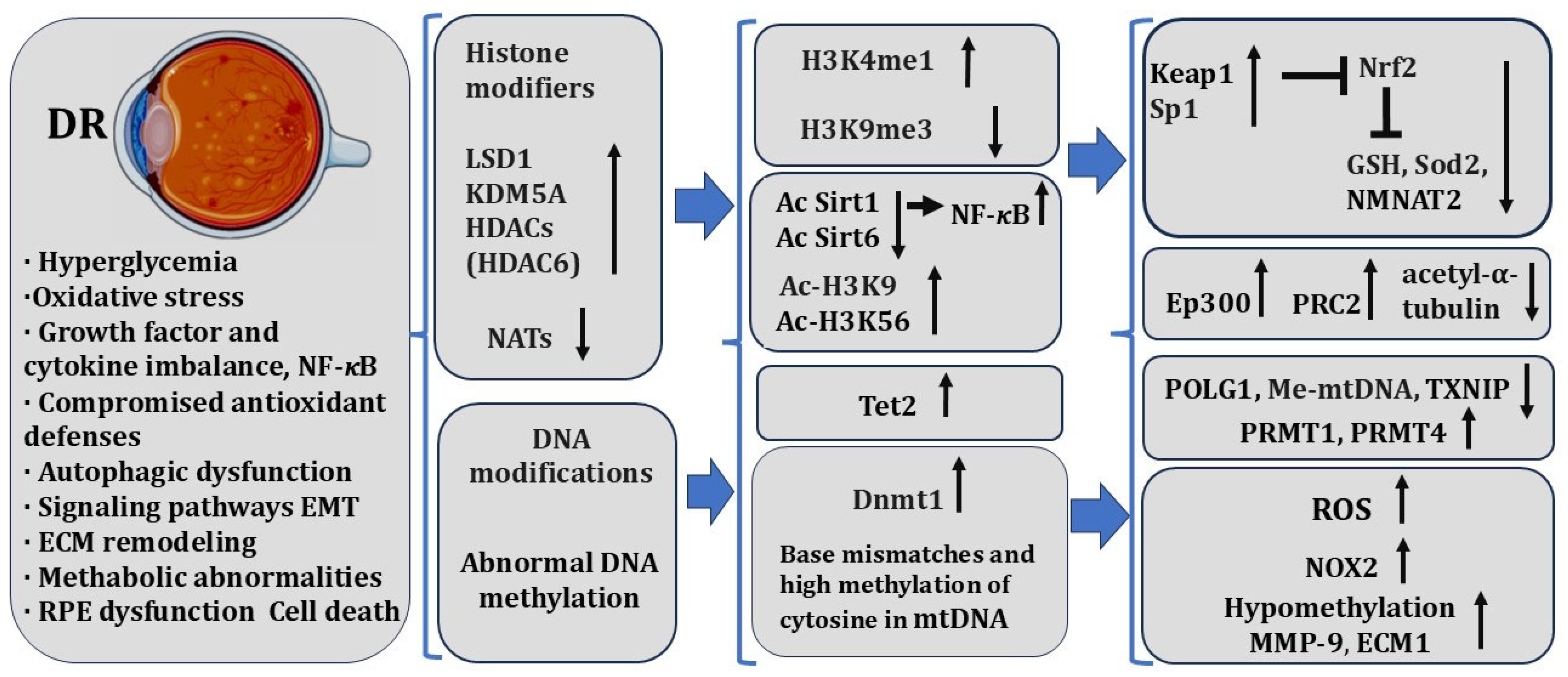 Biomedicines 13 01552 g004