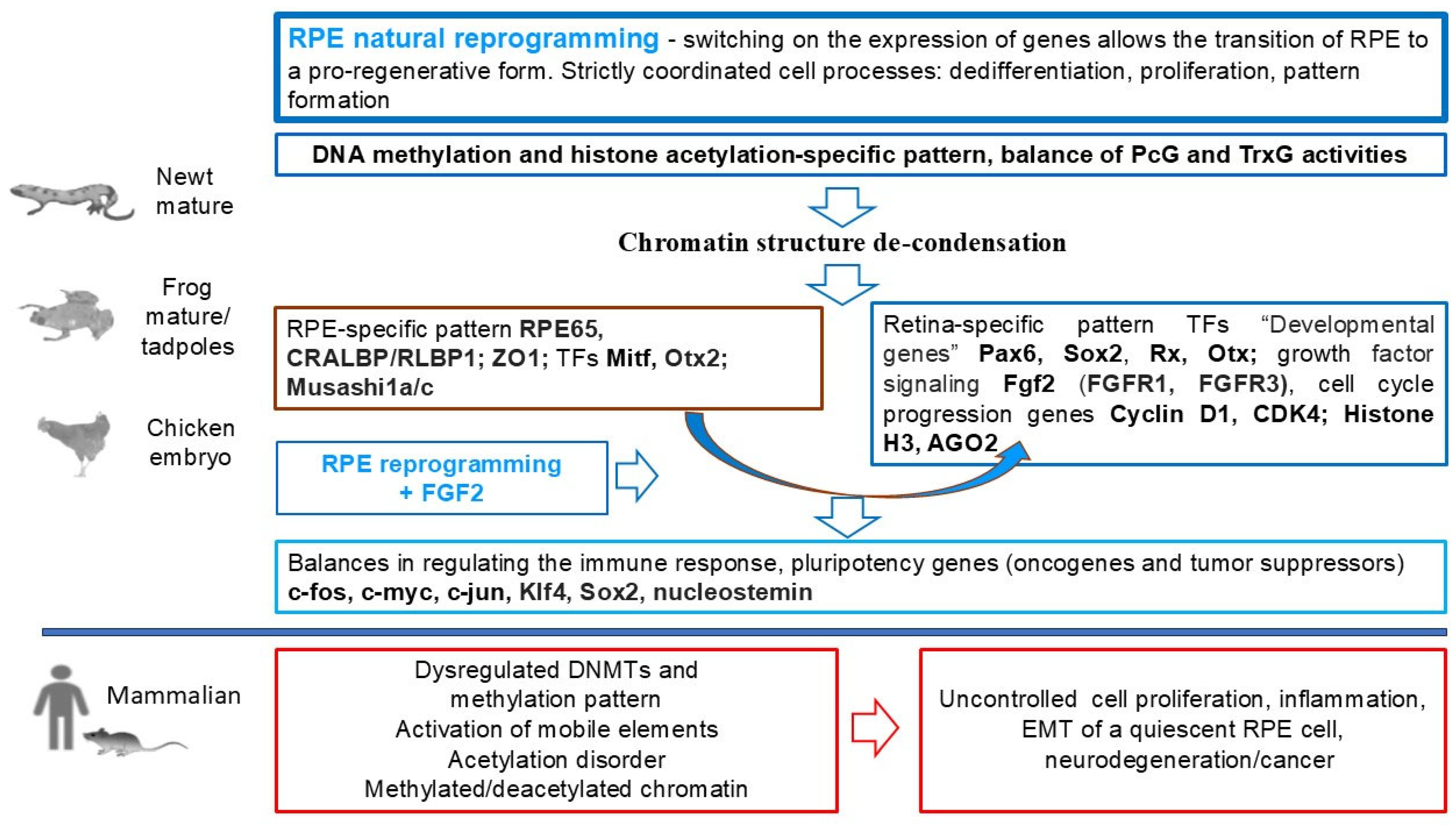 Biomedicines 13 01552 g006
