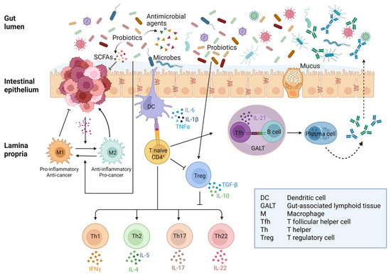 The Anti-Inflammatory, Immunomodulatory, and Pro-Autophagy