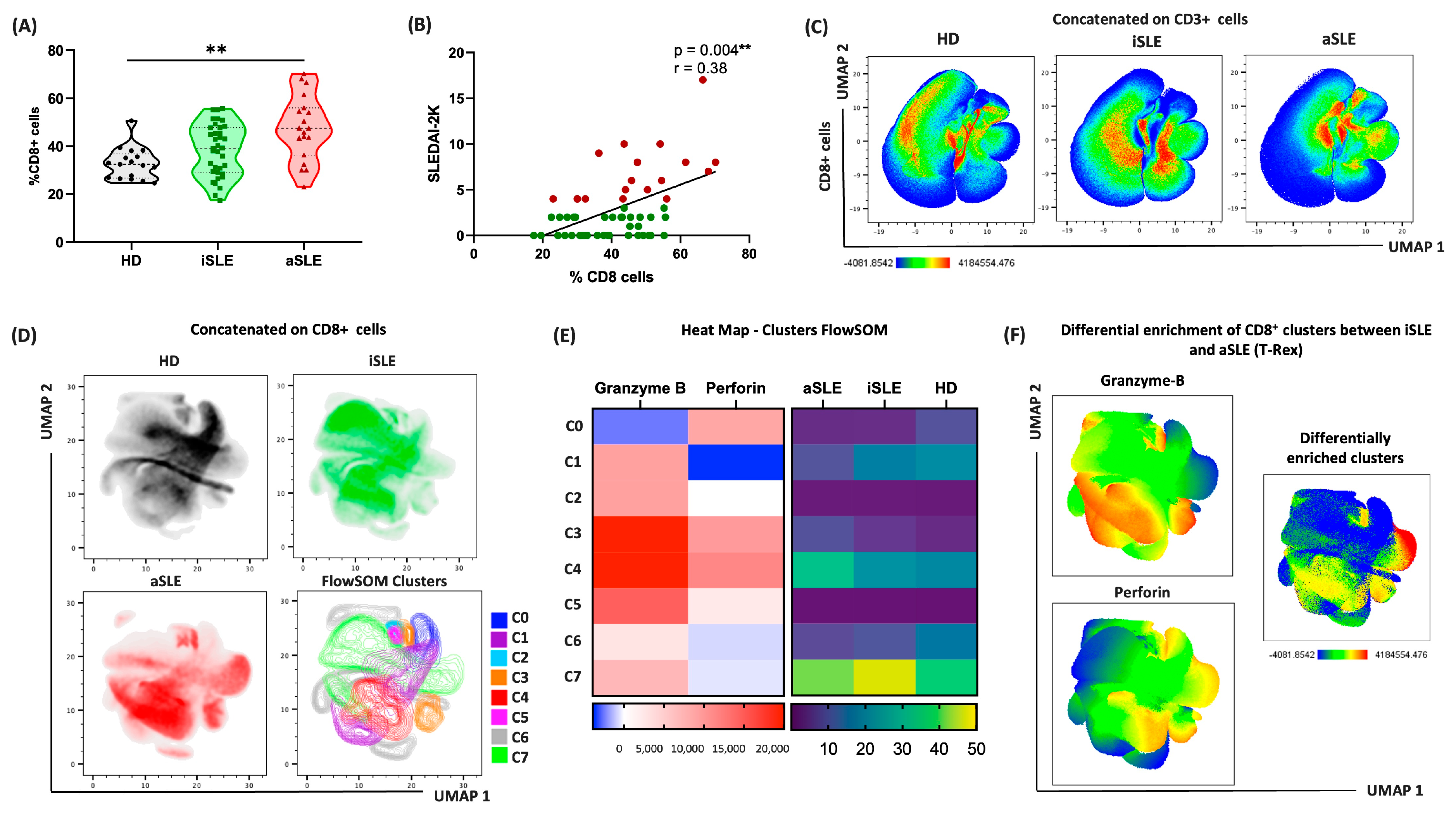 Biomedicines 13 01559 g002