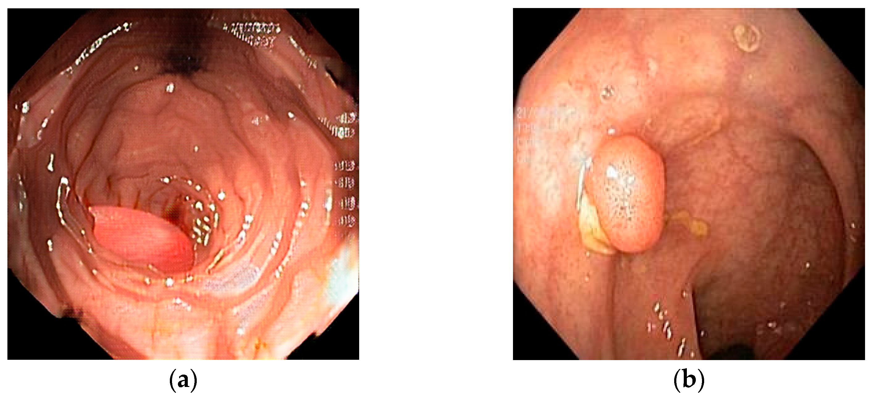Biomedicines 13 01561 g001