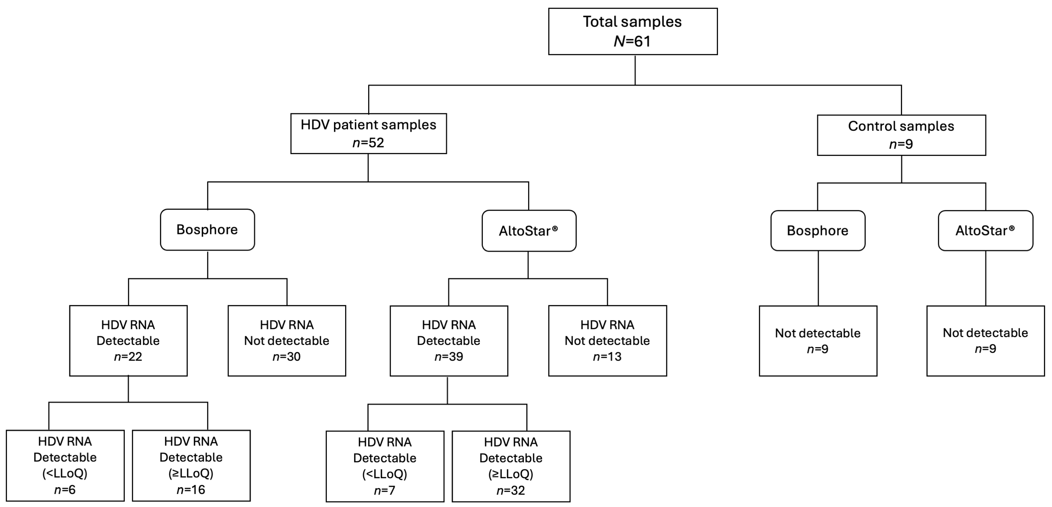 Biomedicines 13 01564 g001