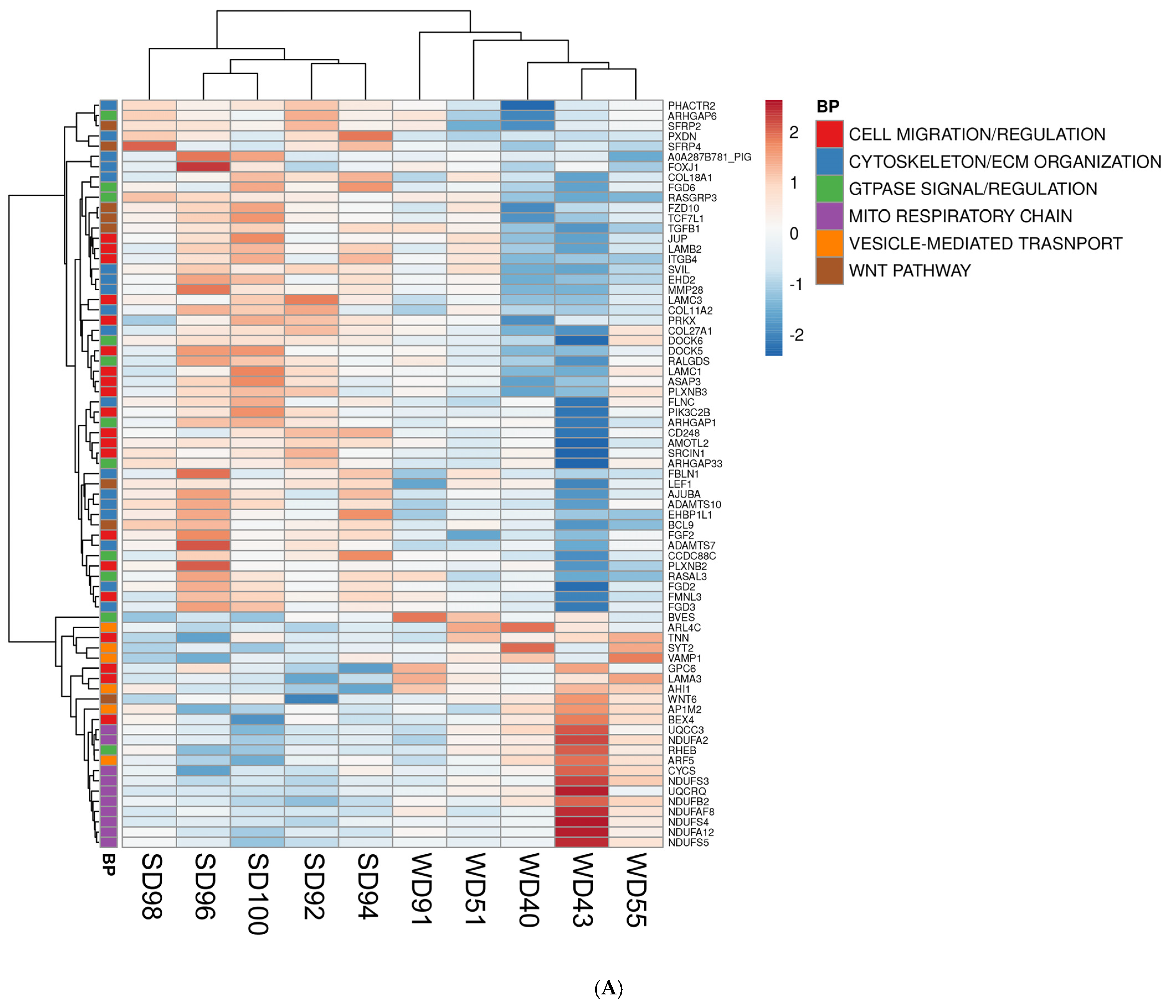 Biomedicines 13 01567 g002a