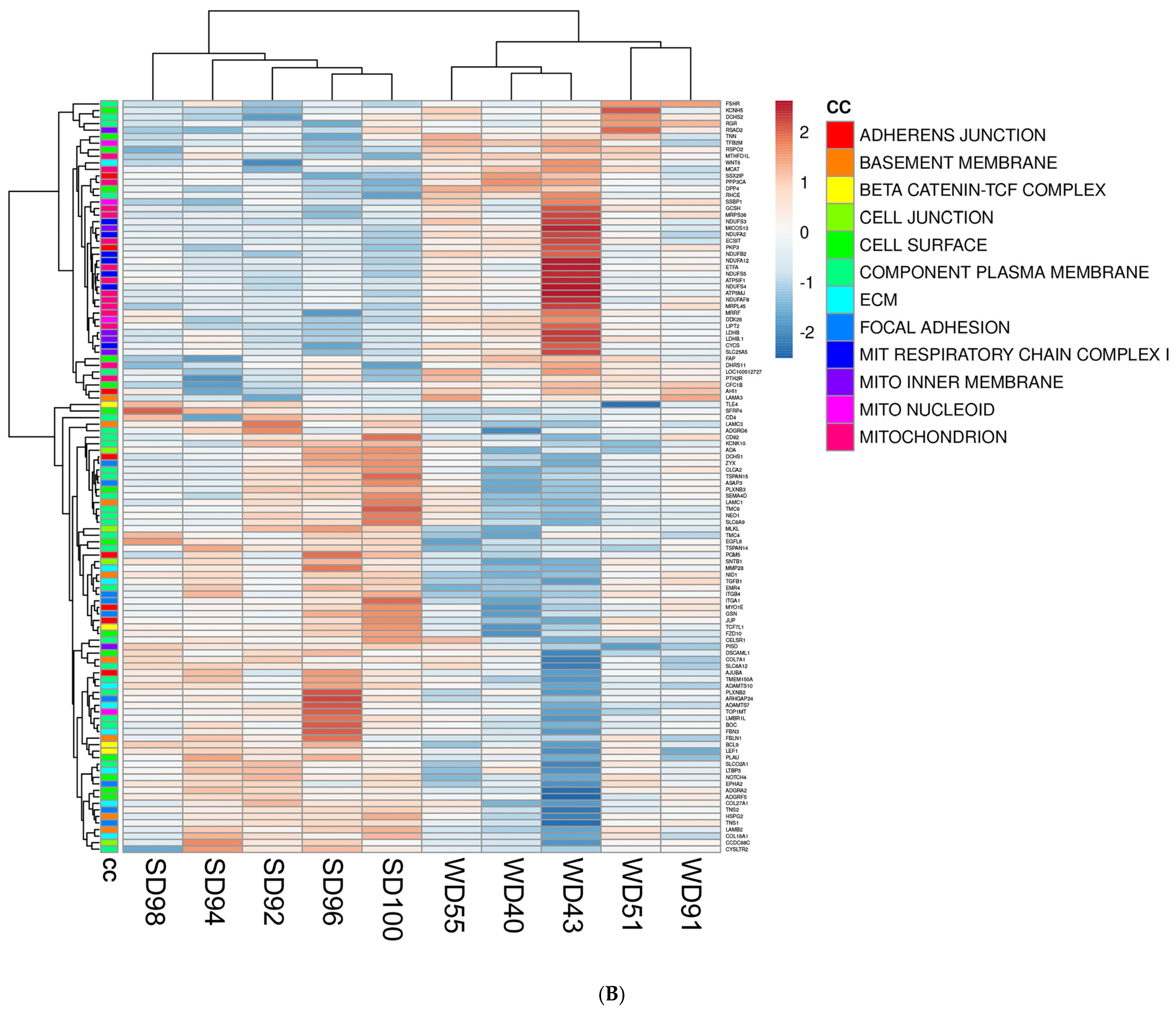 Biomedicines 13 01567 g002b