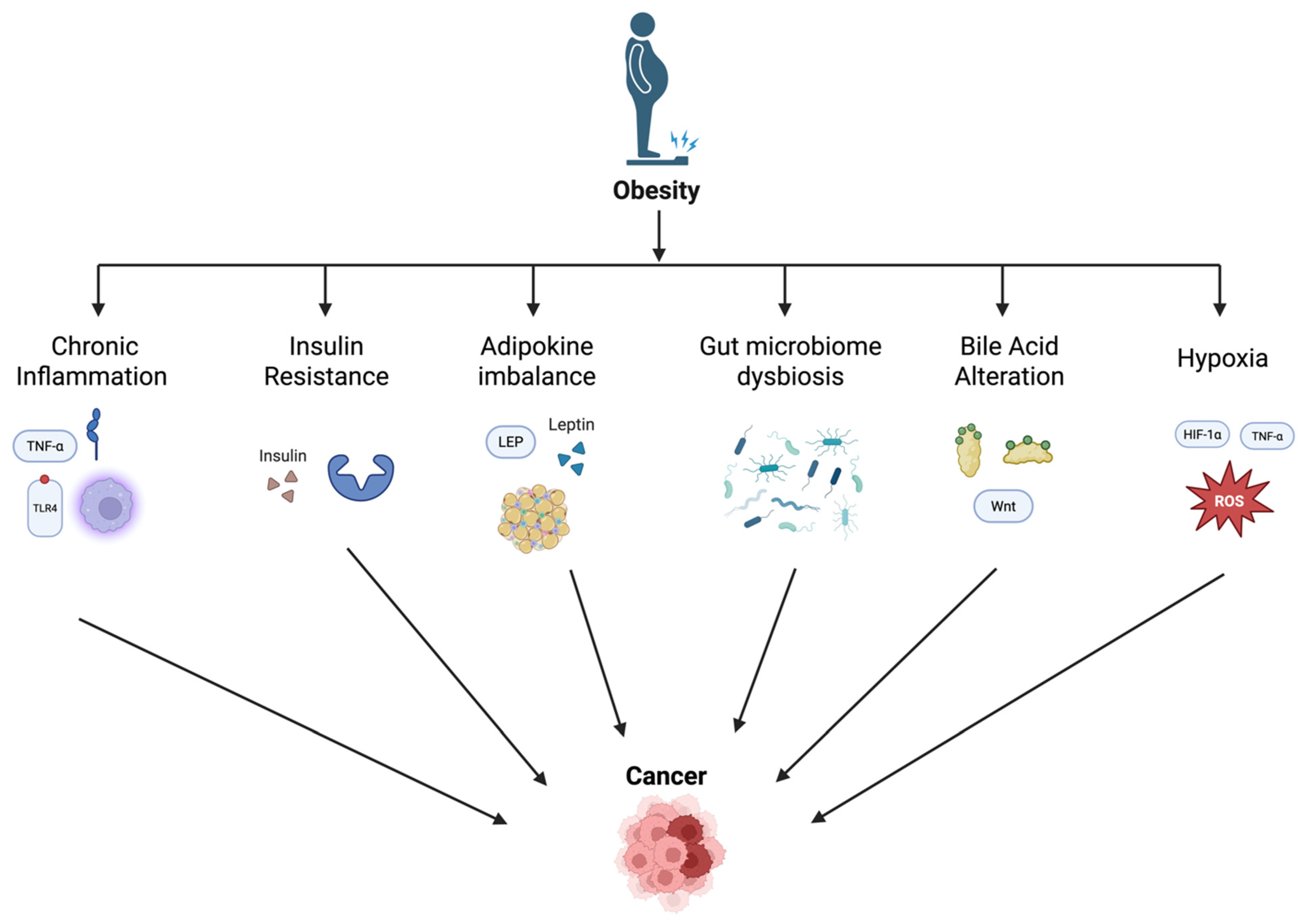 Biomedicines 13 01571 g001
