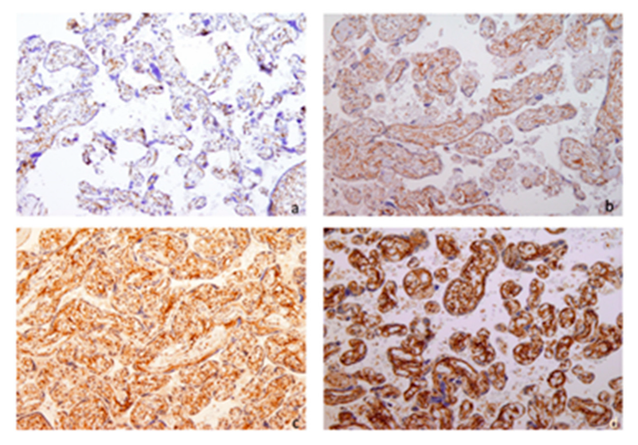 Biomedicines 13 01576 g001