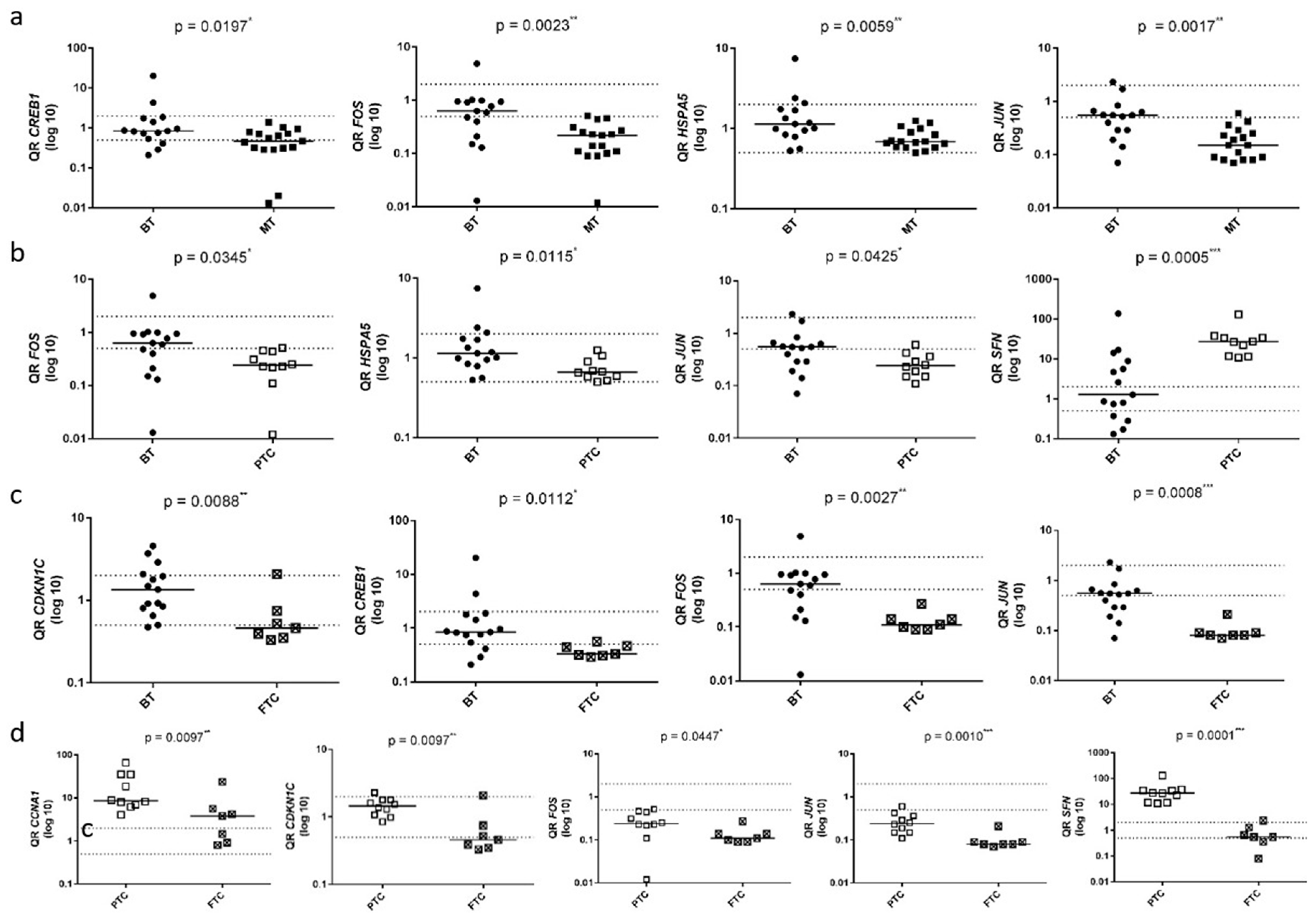 Biomedicines 13 01577 g002