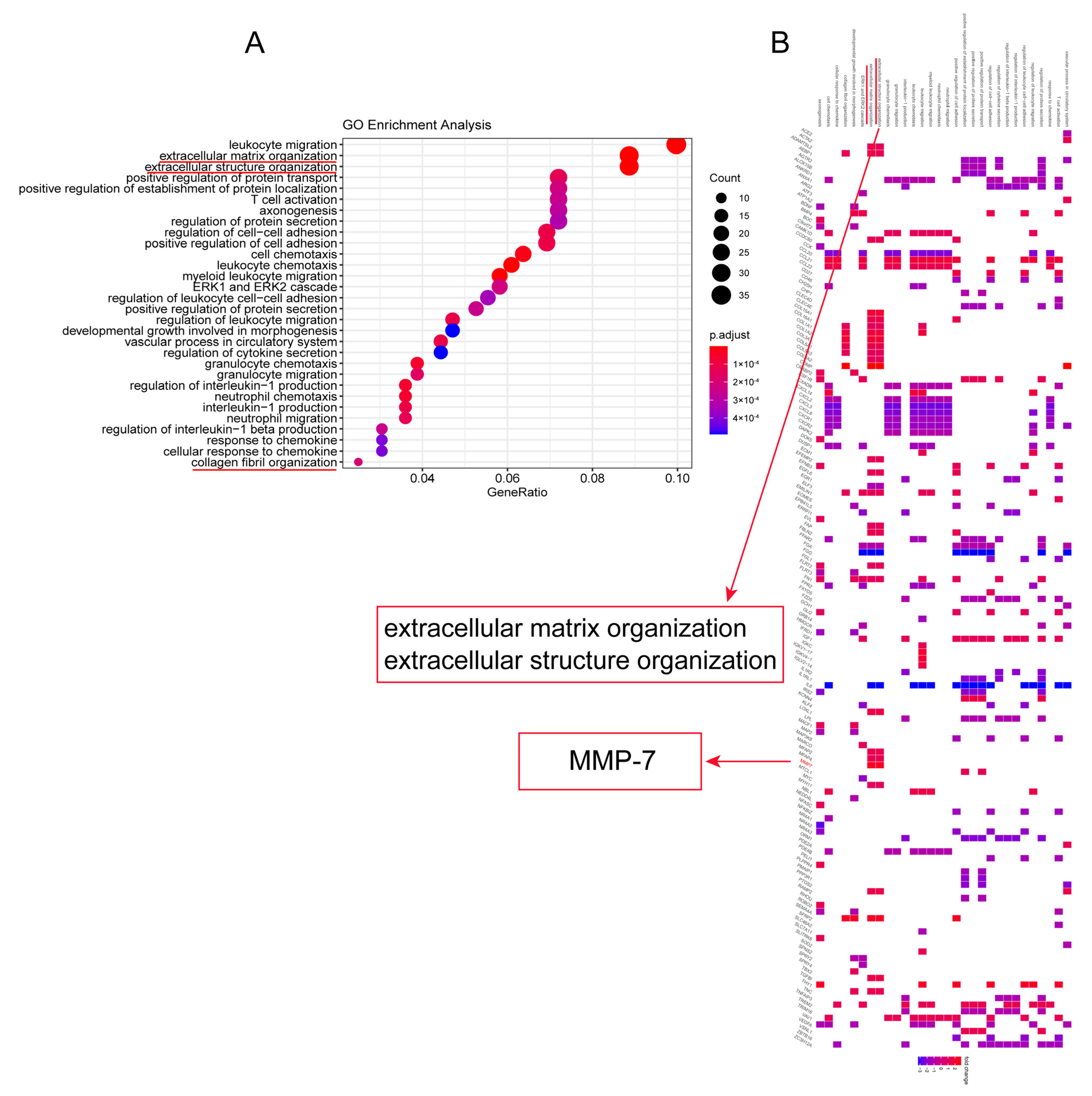 Biomedicines 13 01581 g003 Biomedicines 13 01581 g003