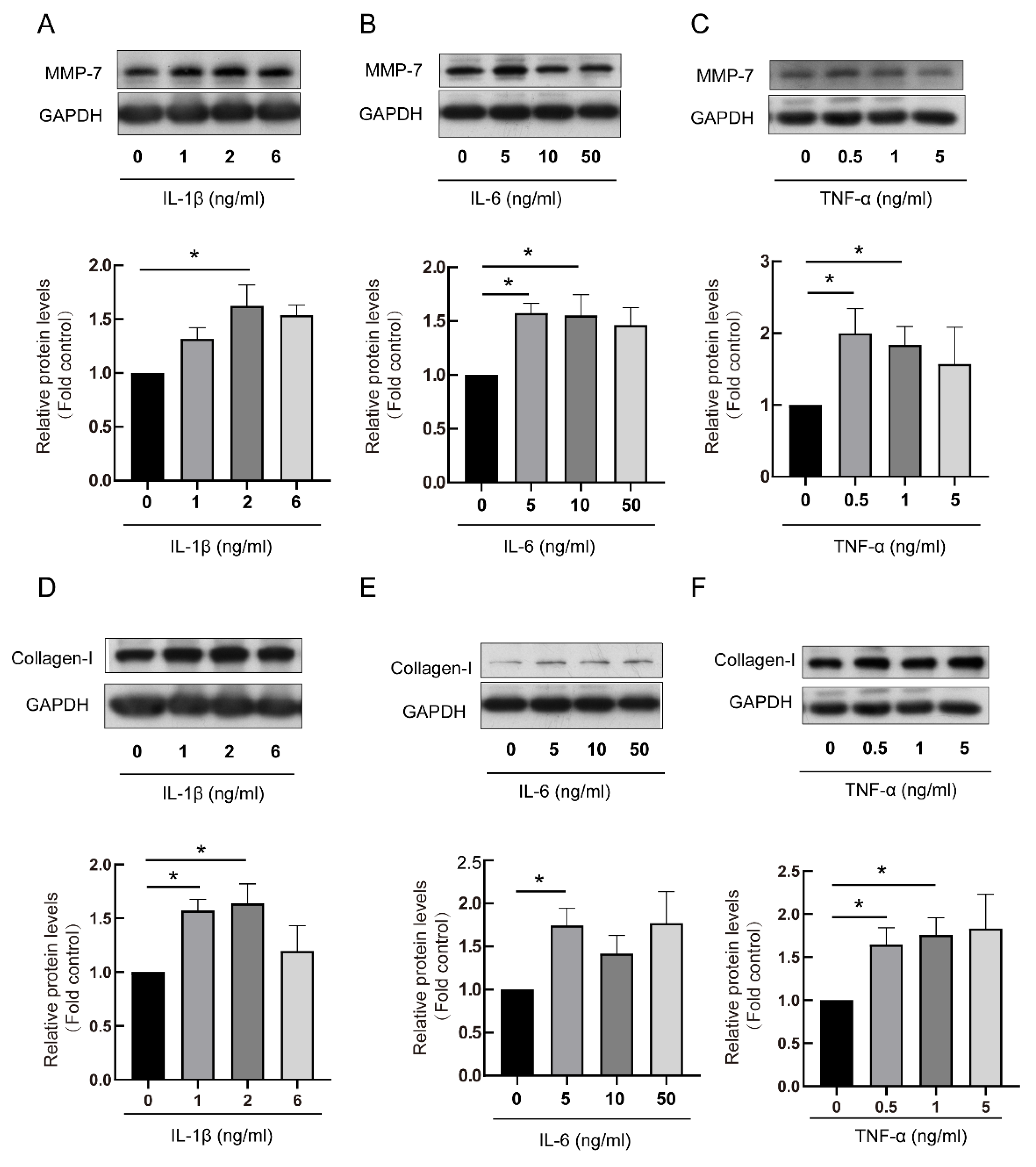 Biomedicines 13 01581 g004 Biomedicines 13 01581 g004