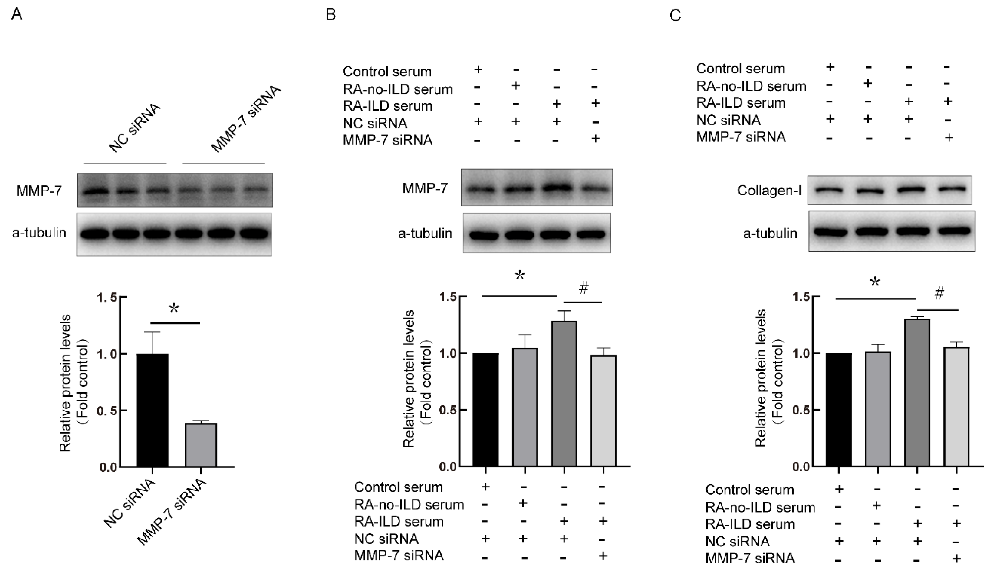 Biomedicines 13 01581 g006 Biomedicines 13 01581 g006