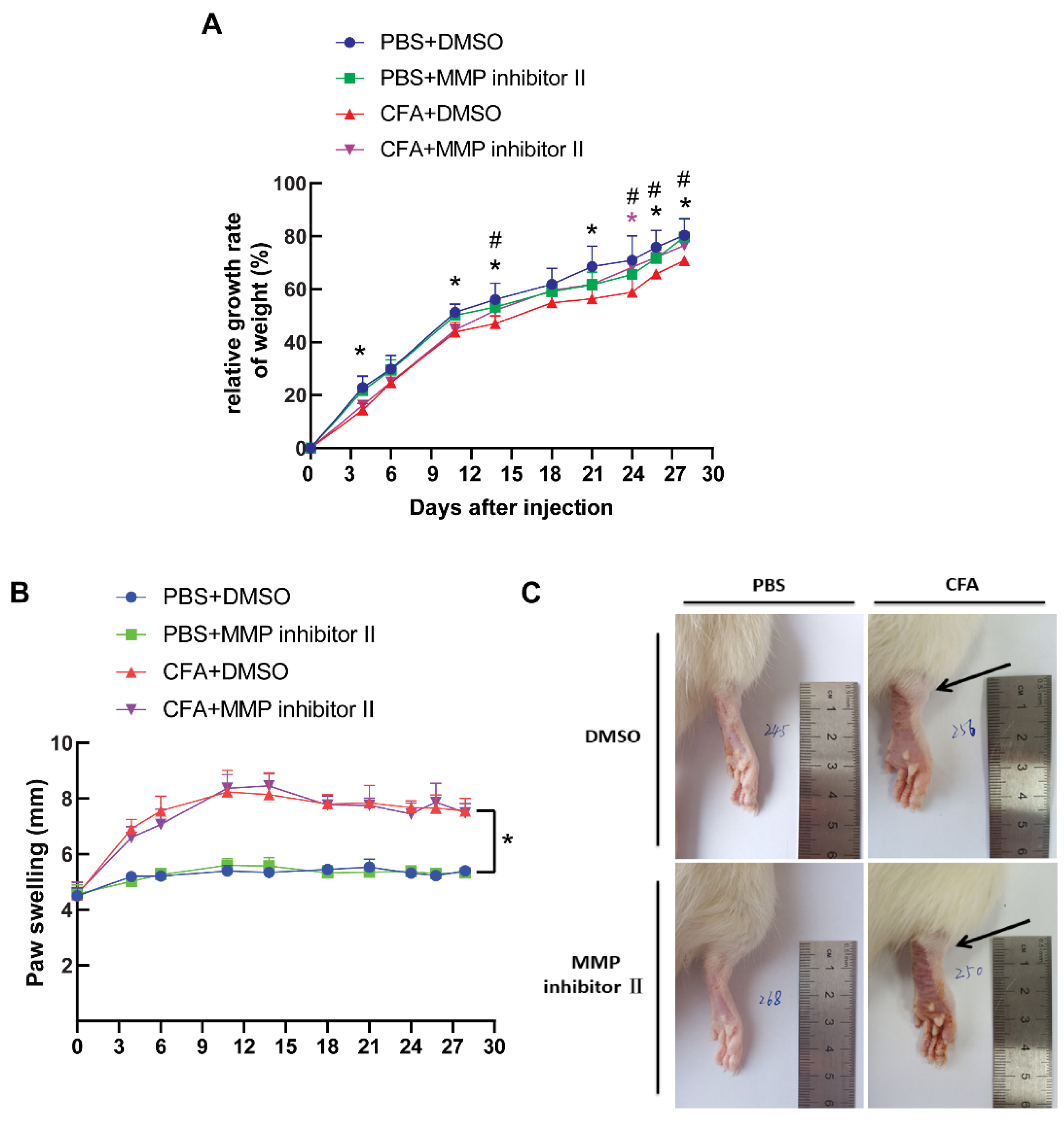 Biomedicines 13 01581 g007 Biomedicines 13 01581 g007