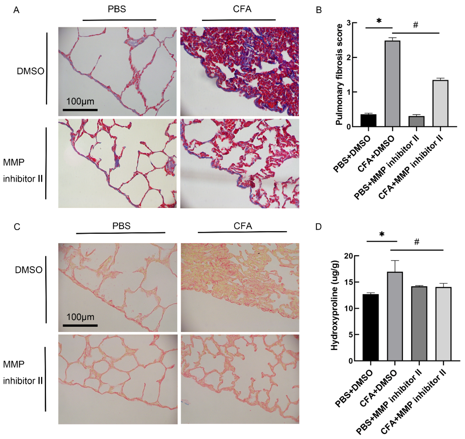 Biomedicines 13 01581 g008 Biomedicines 13 01581 g008