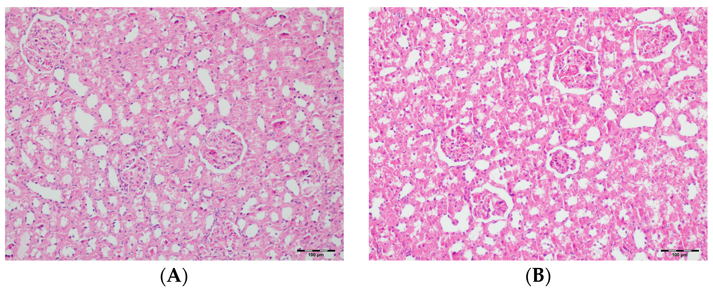 Biomedicines 13 01582 g012a