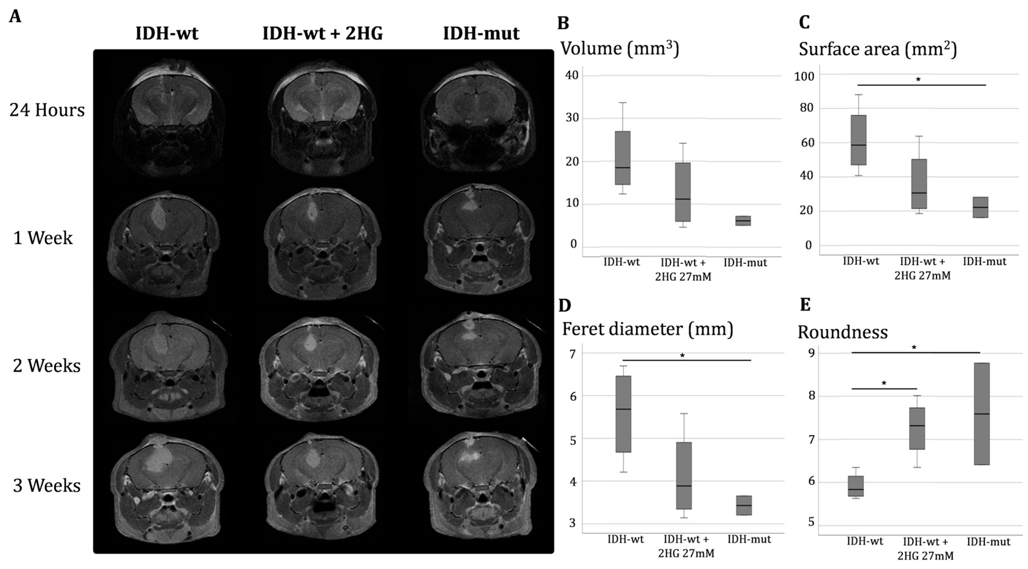 Biomedicines 13 01584 g004