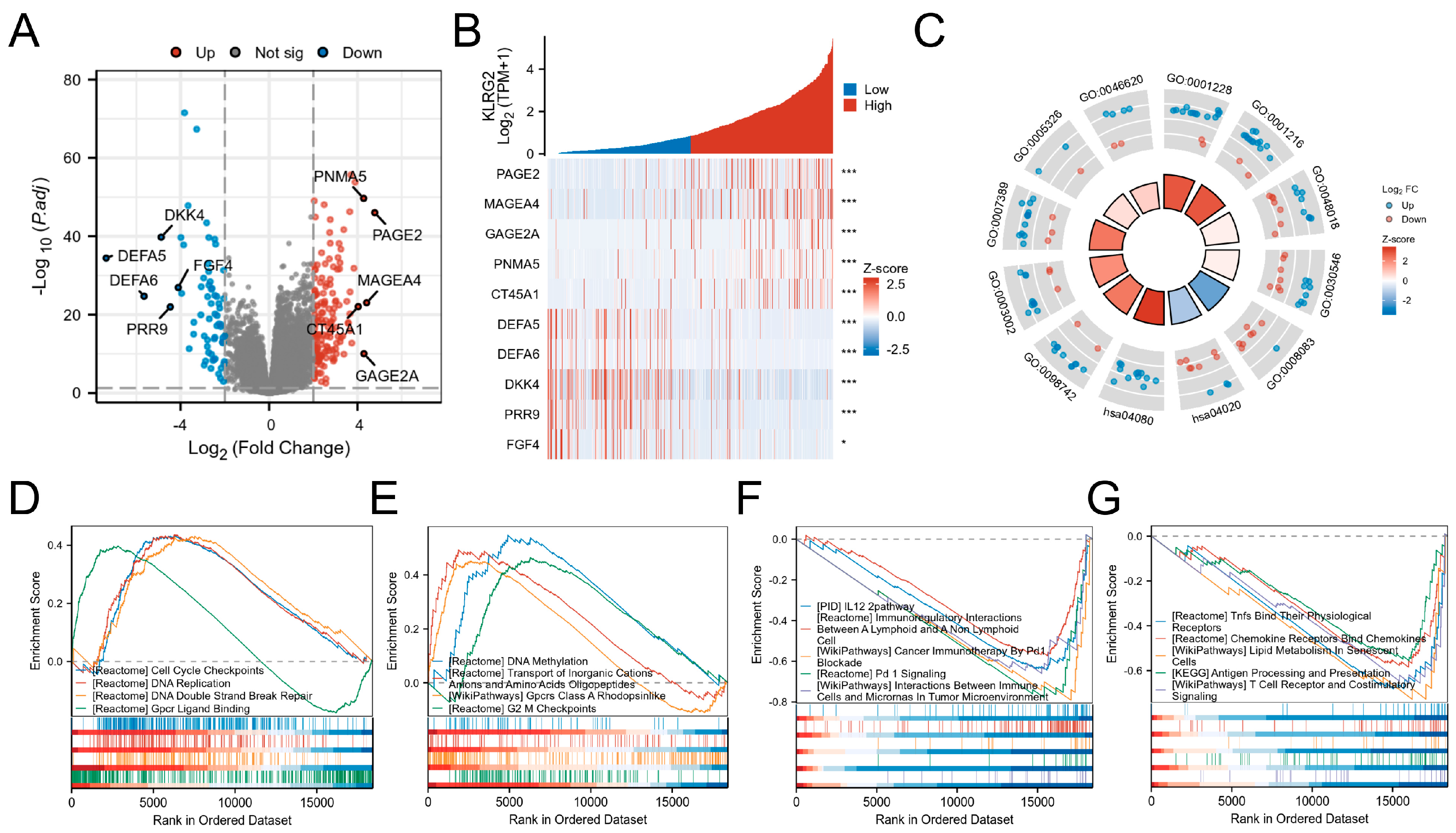 Biomedicines 13 01592 g005