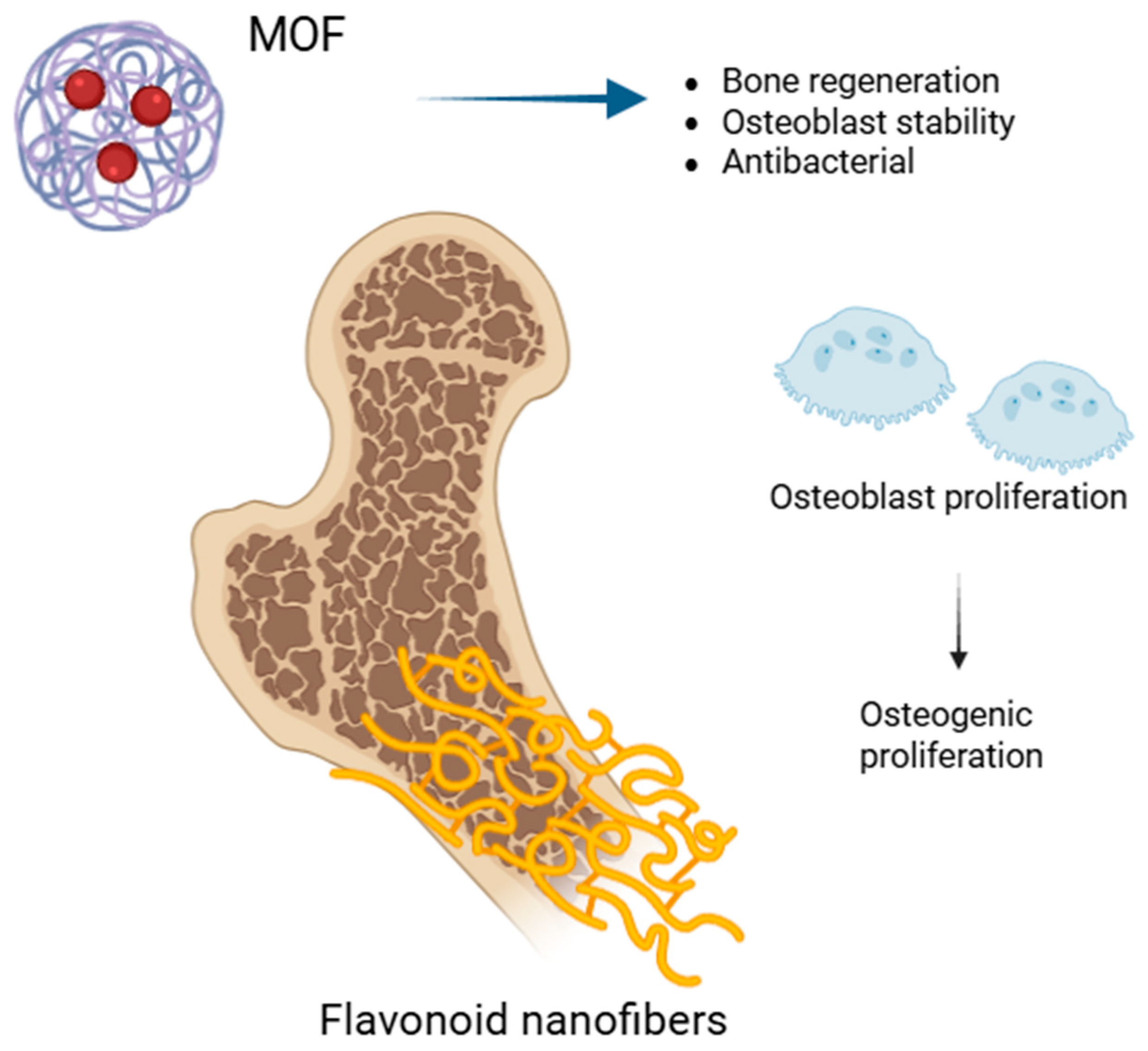 Biomedicines 13 01597 g002