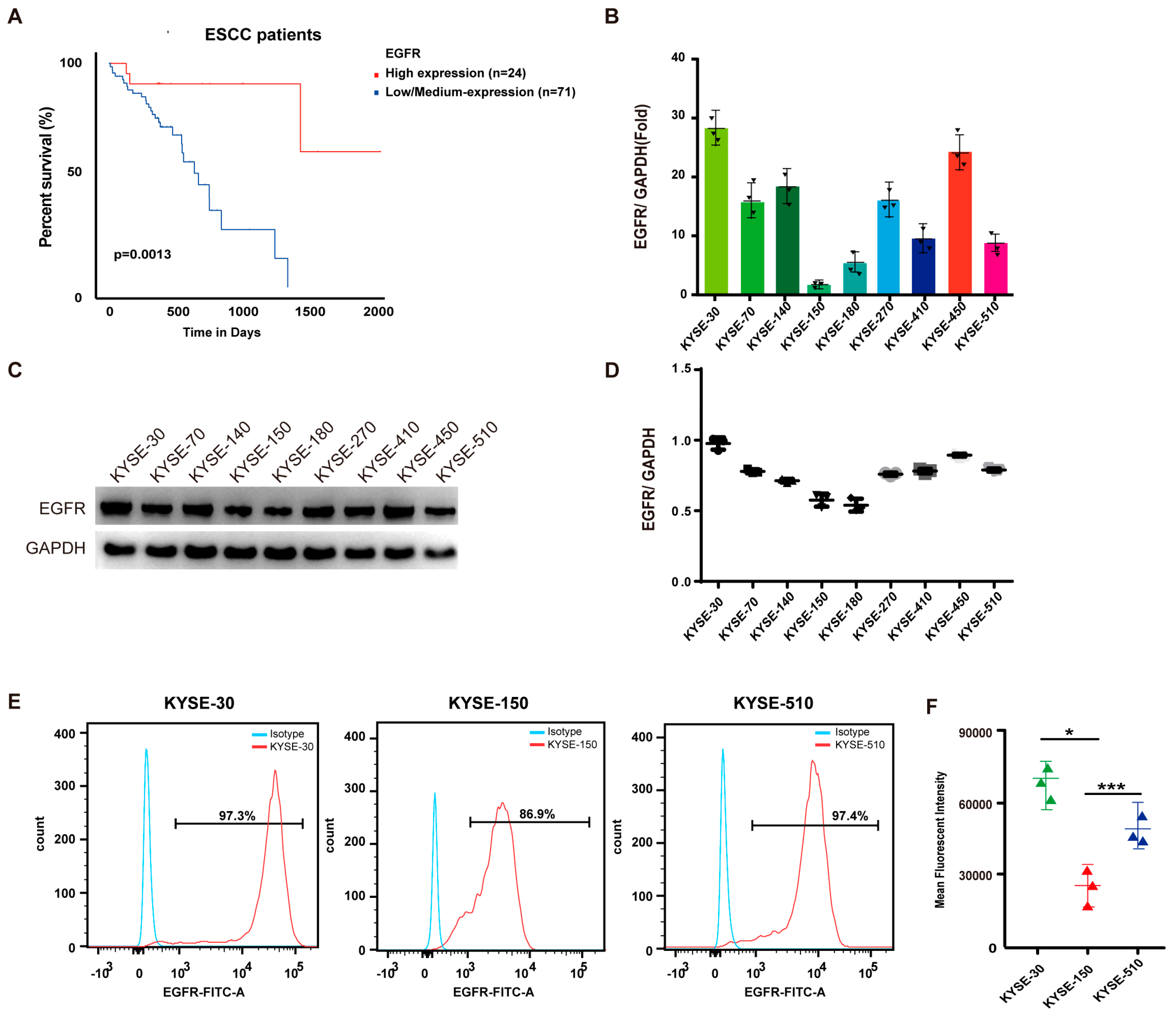 Biomedicines 13 01598 g001