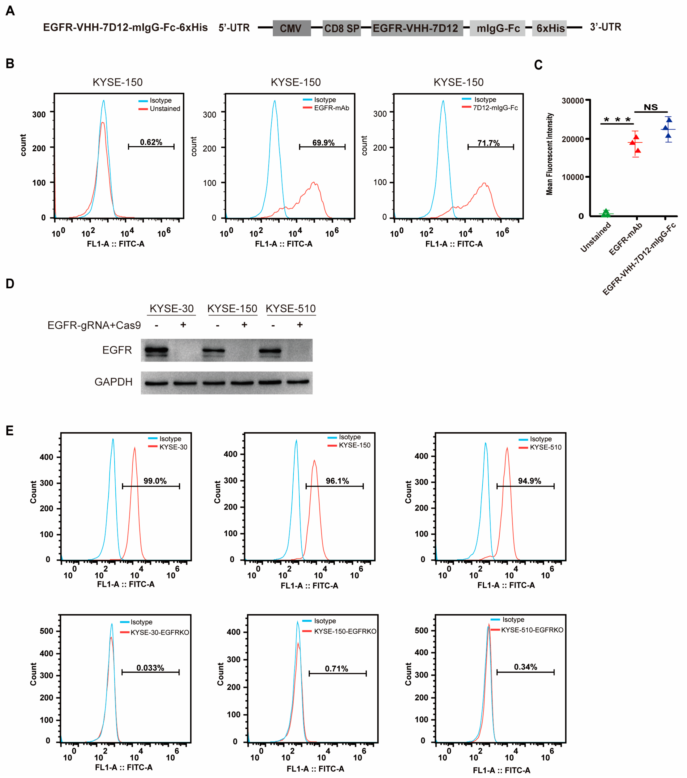 Biomedicines 13 01598 g002