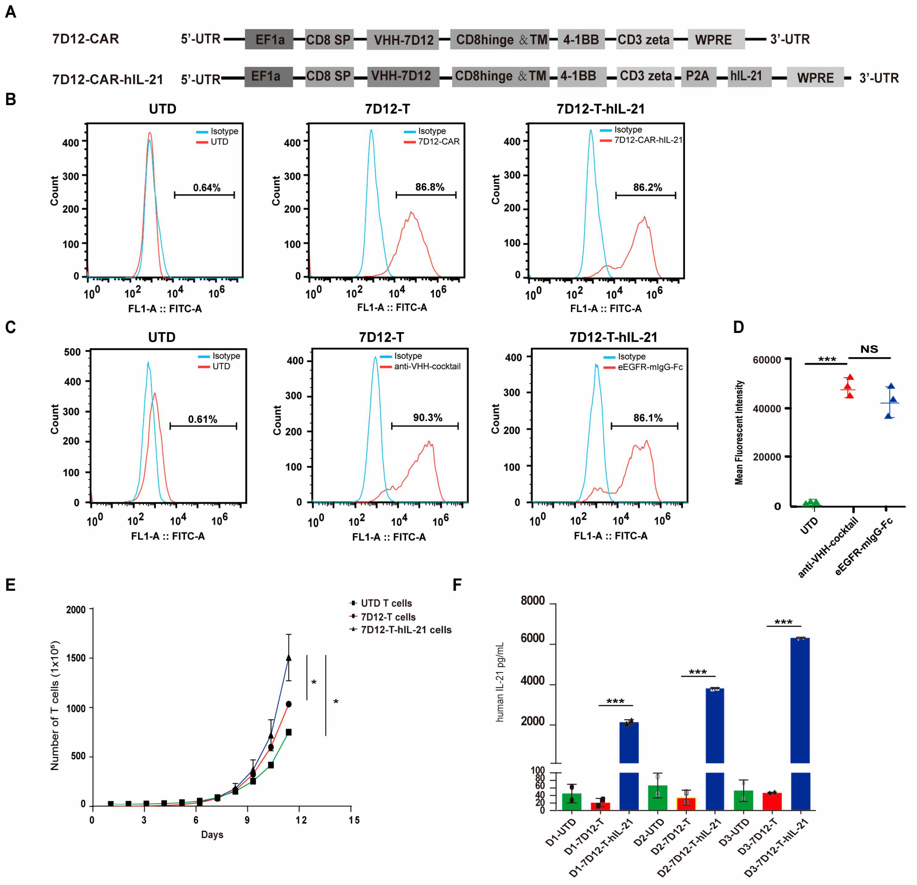 Biomedicines 13 01598 g003