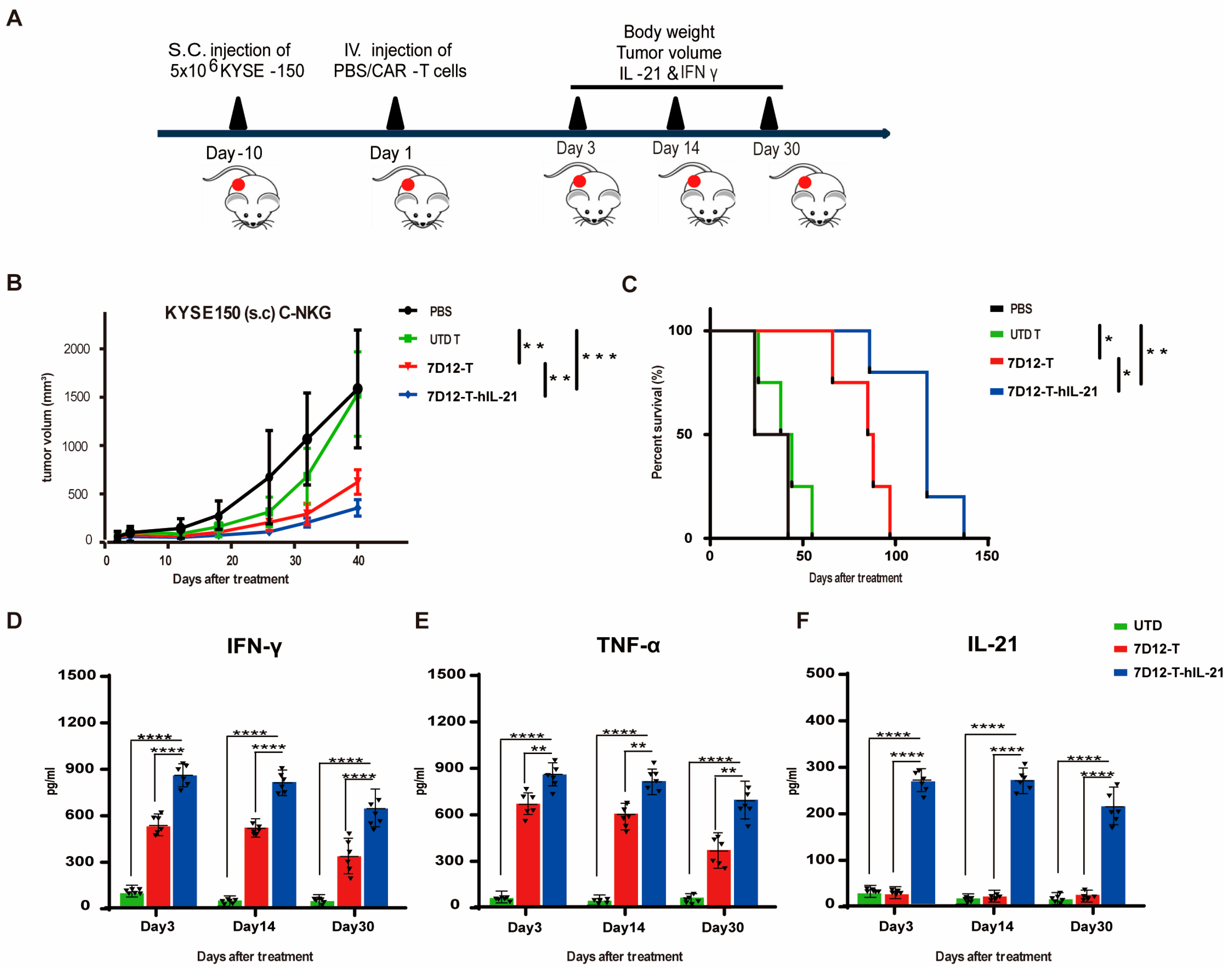 Biomedicines 13 01598 g006