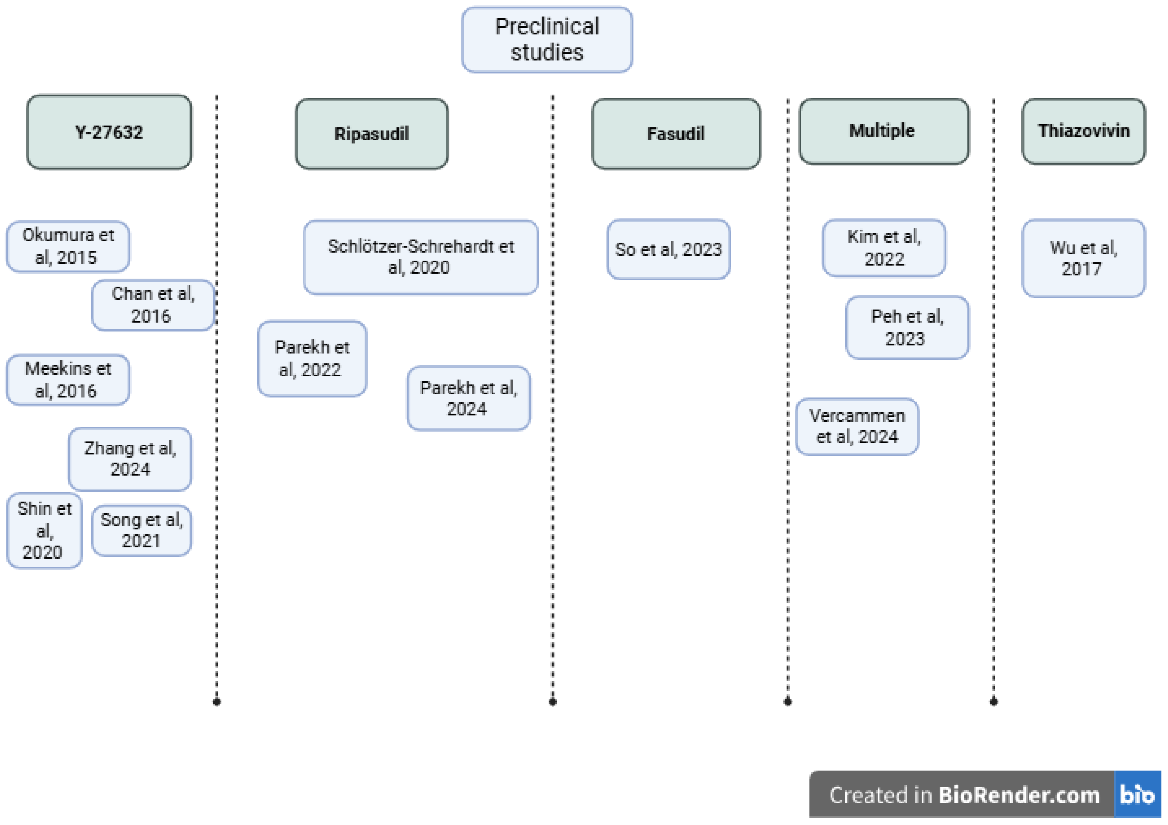 Biomedicines 13 01602 g006
