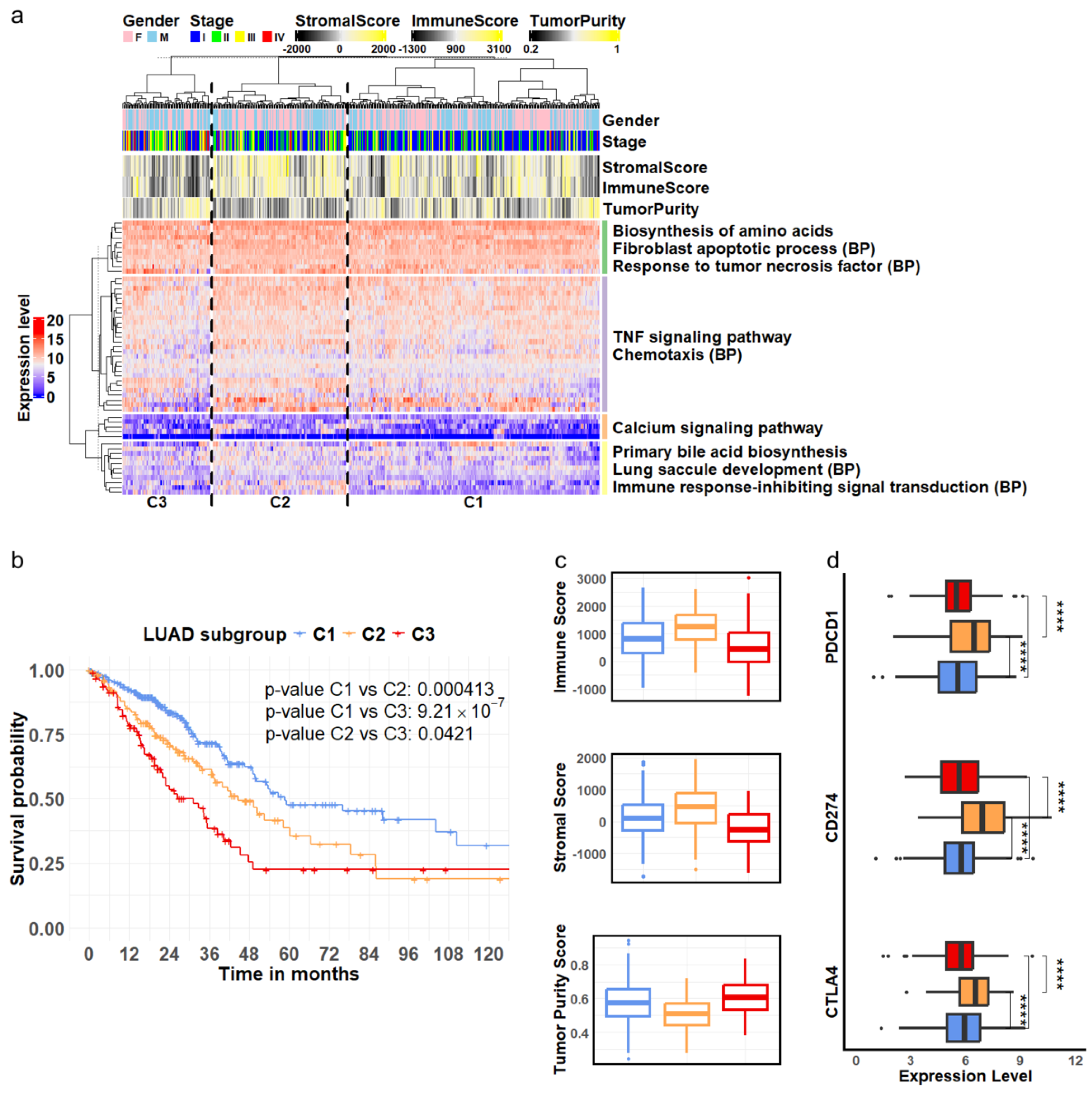 Biomedicines 13 01606 g003