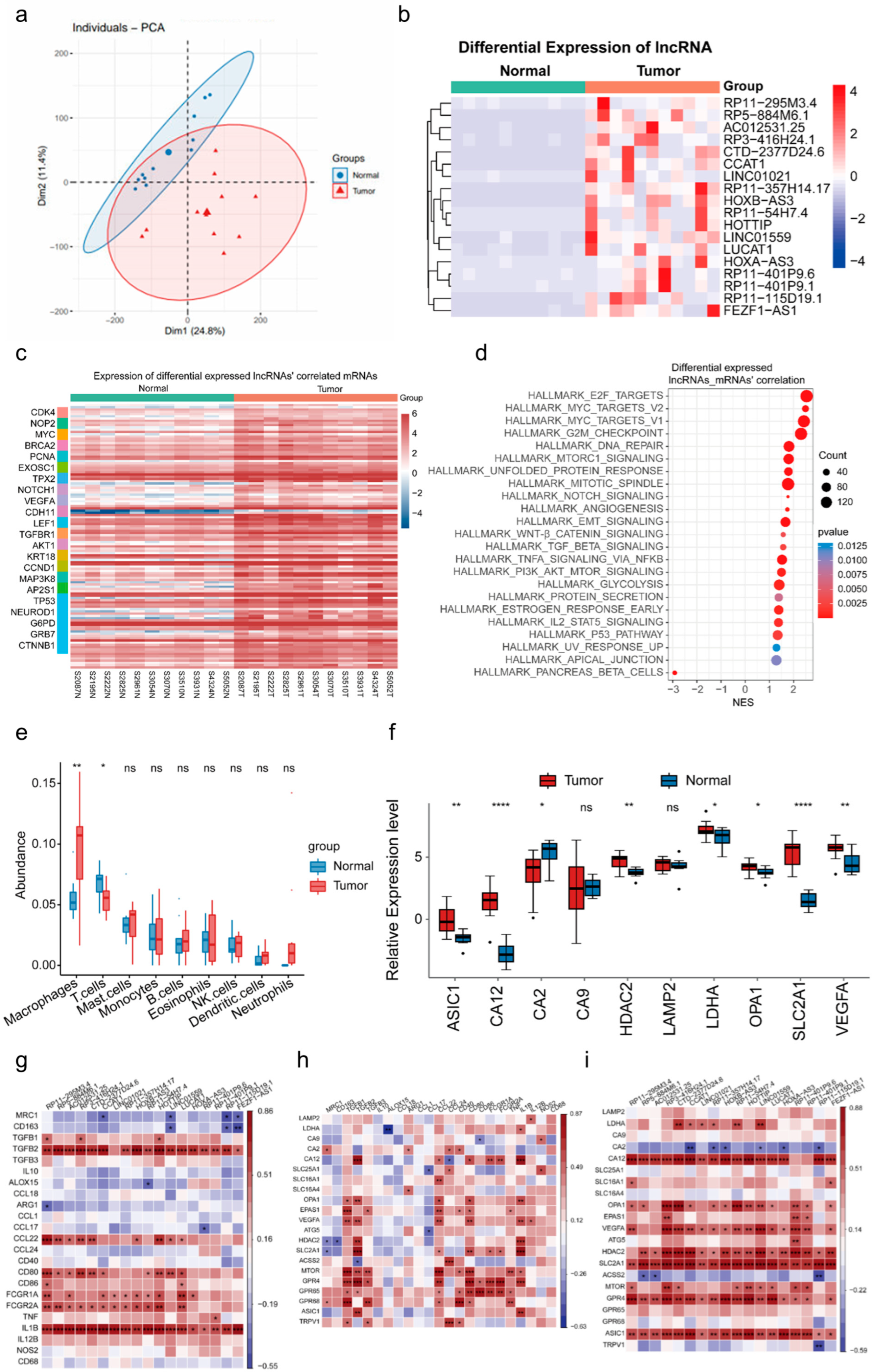 Biomedicines 13 01611 g001 Biomedicines 13 01611 g001