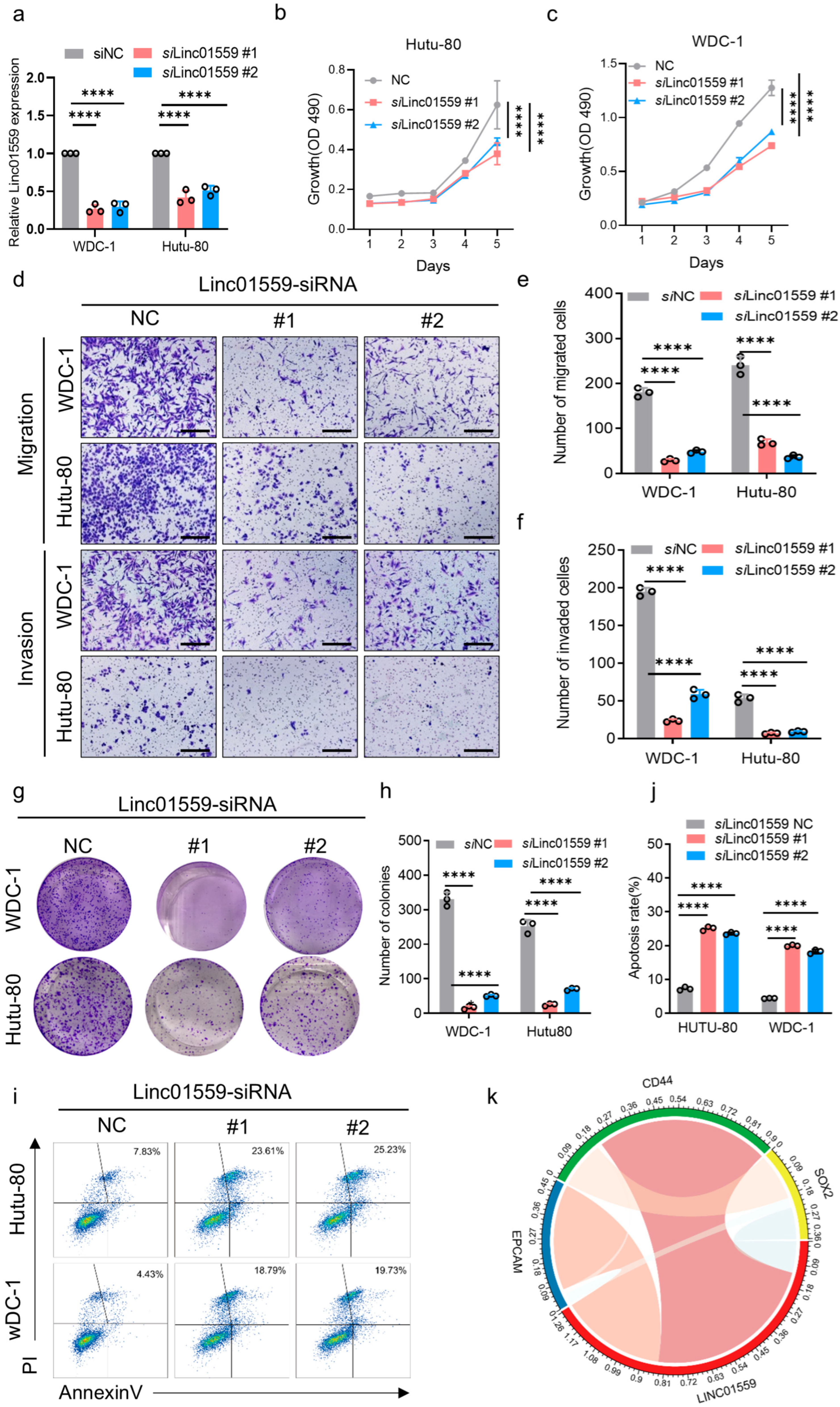 Biomedicines 13 01611 g003 Biomedicines 13 01611 g003